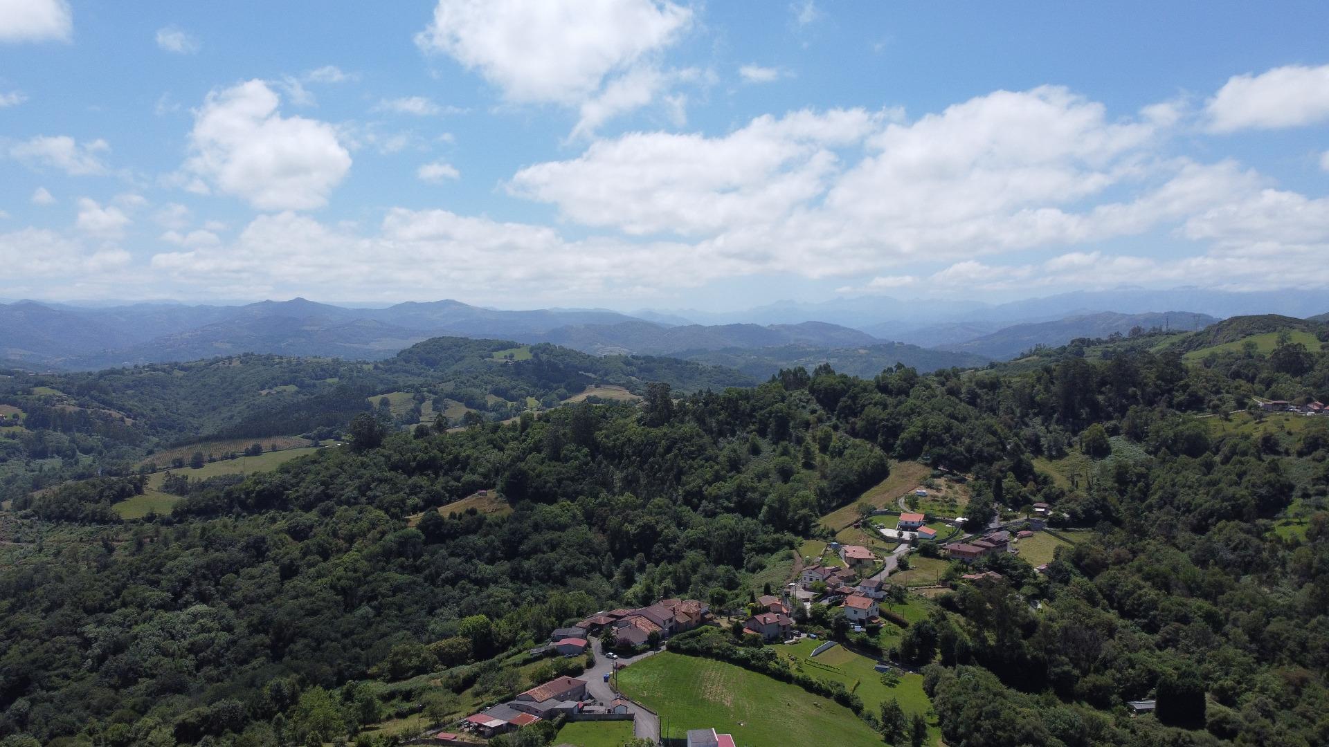 Fincas y solares-Venta-Siero-1867129-Foto-11