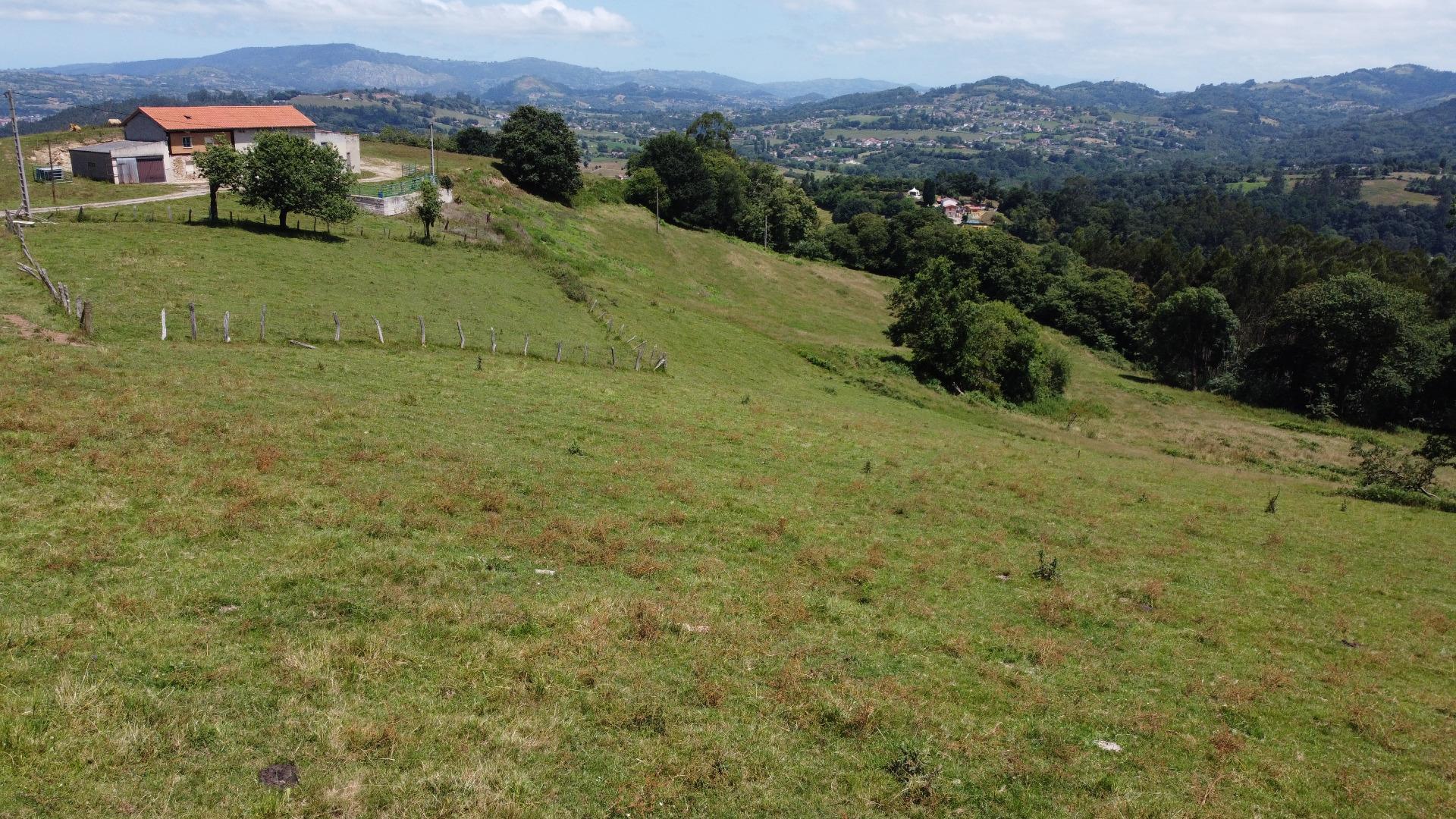 Fincas y solares-Venta-Siero-1867129-Foto-7
