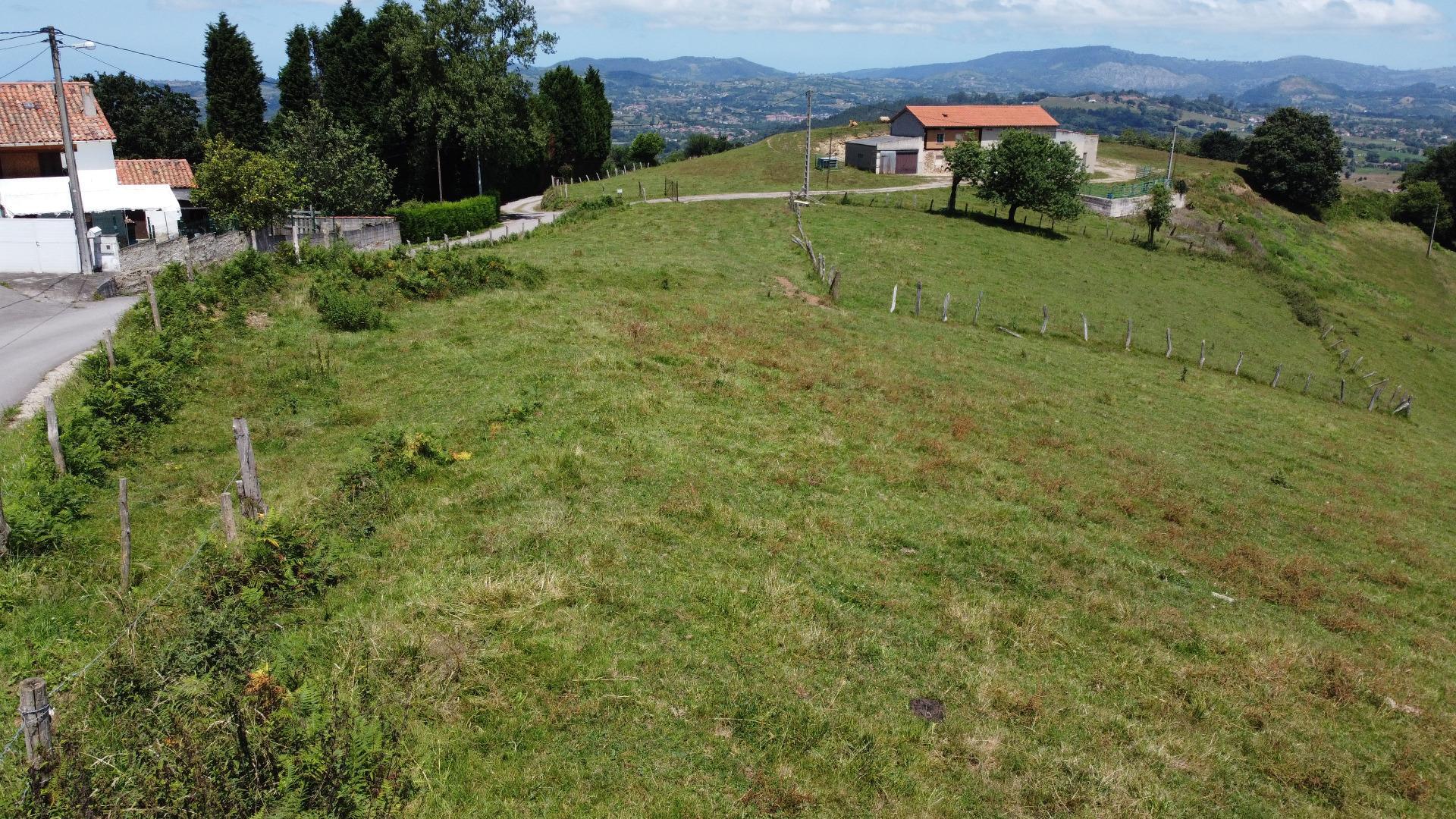 Fincas y solares-Venta-Siero-1867129-Foto-6