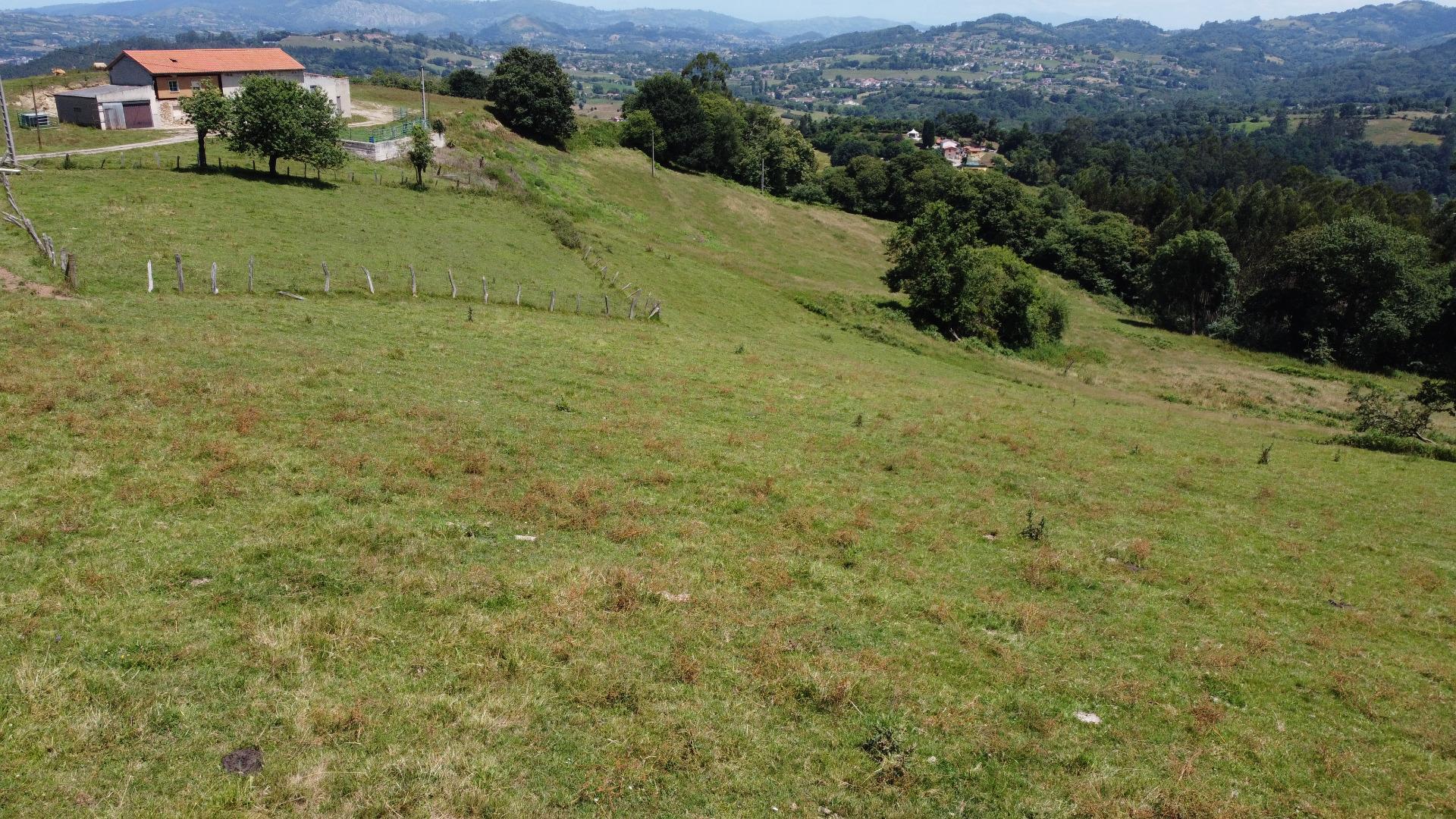 Fincas y solares-Venta-Siero-1867129-Foto-8