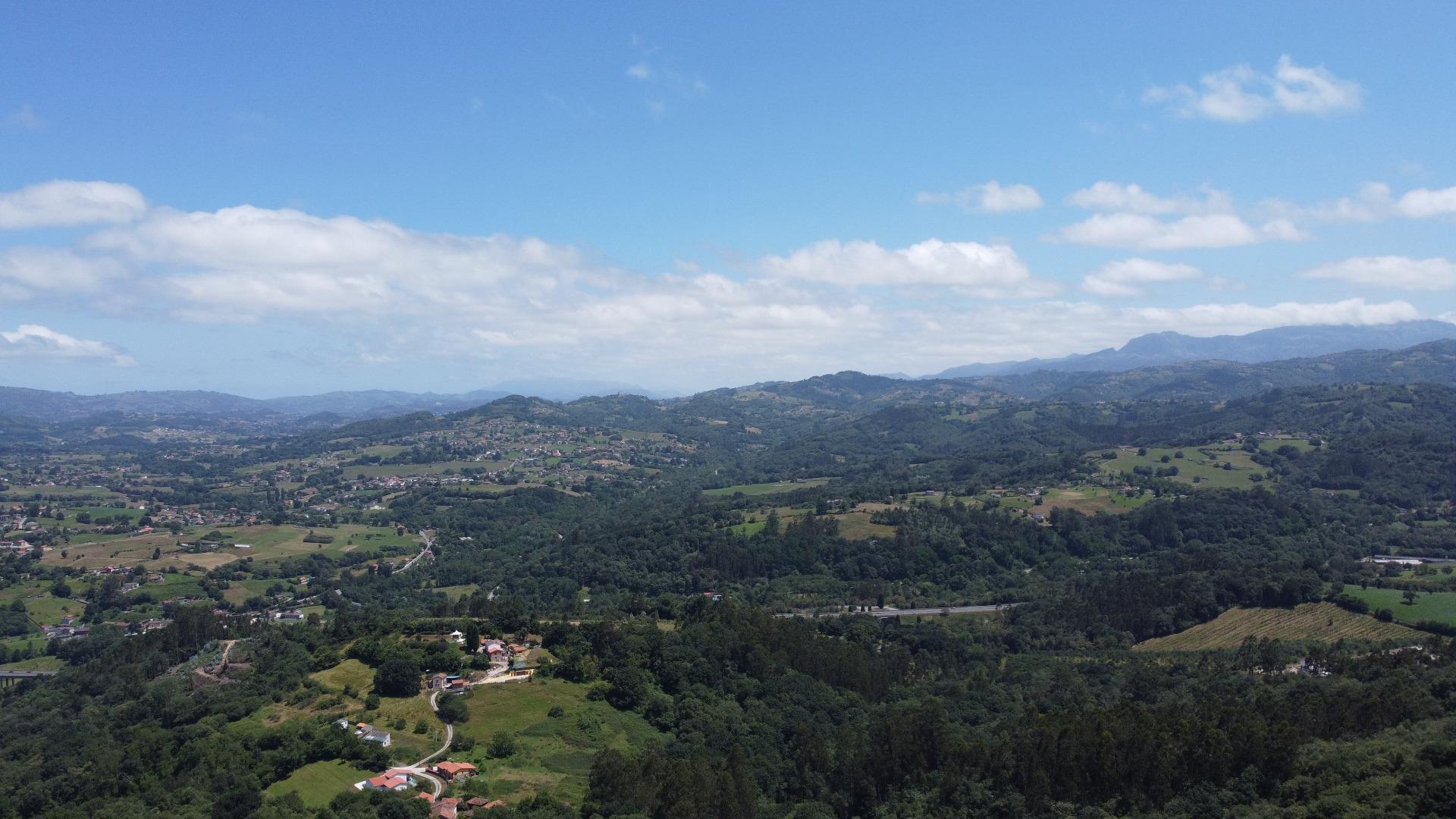 Fincas y solares-Venta-Siero-1867129-Foto-12