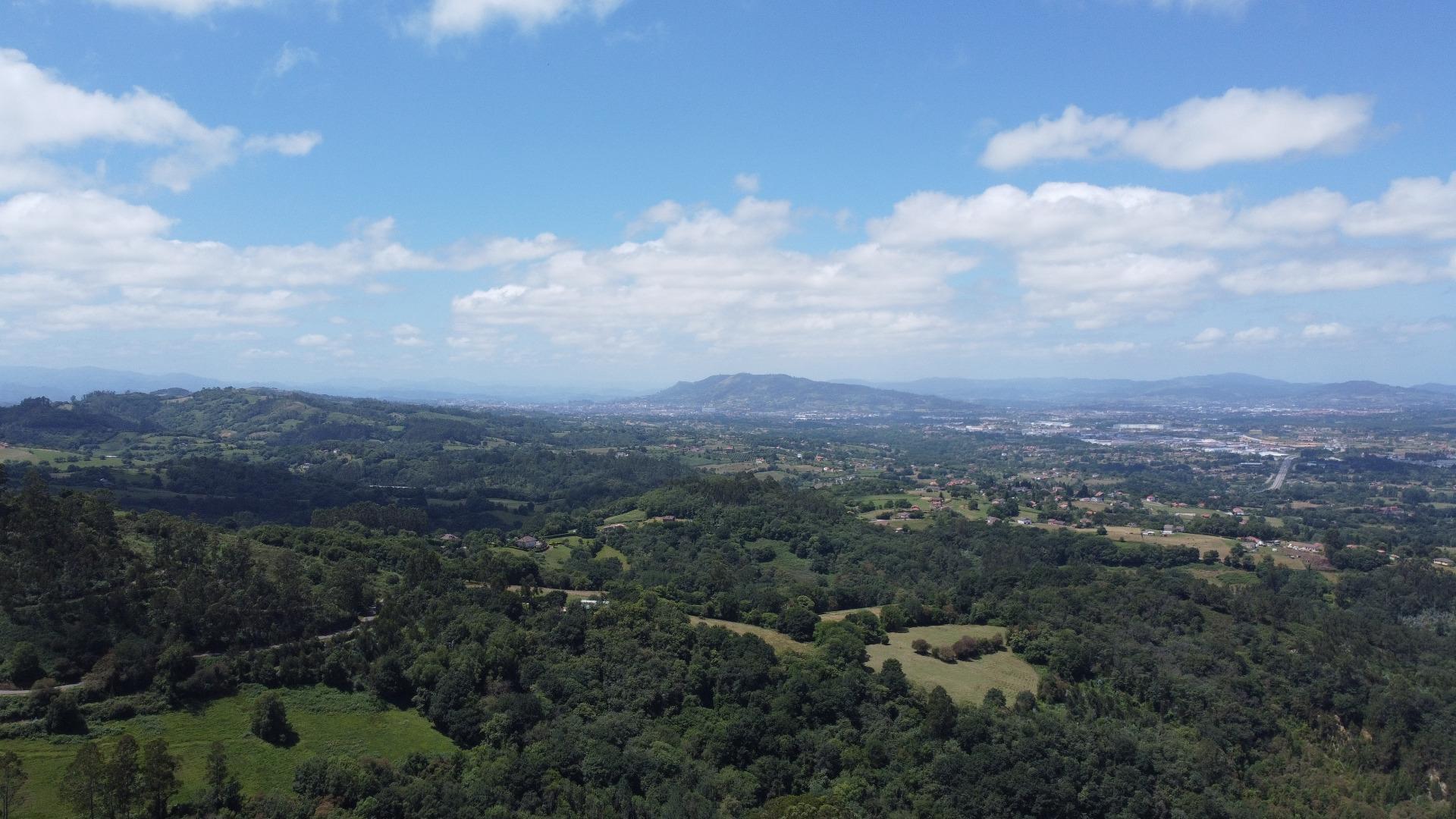 Fincas y solares-Venta-Siero-1867129-Foto-14