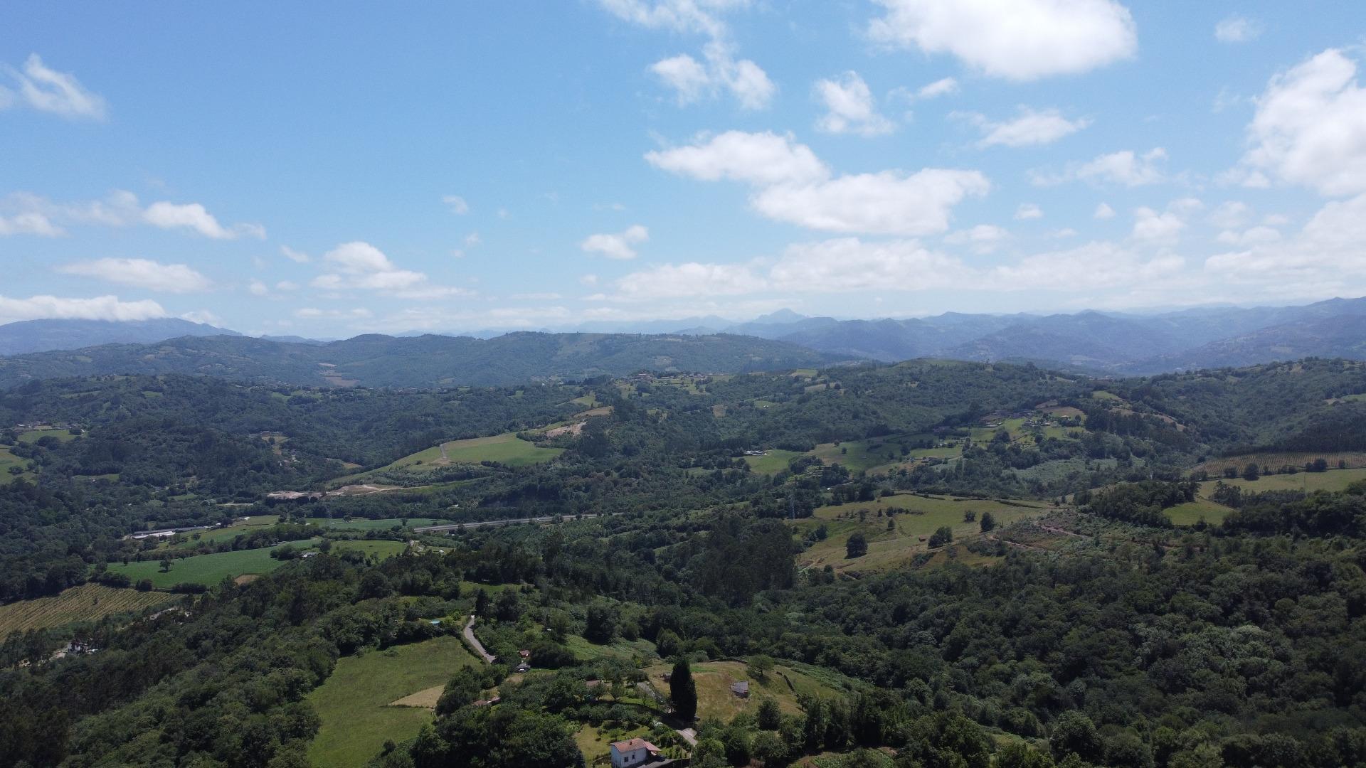 Fincas y solares-Venta-Siero-1867129-Foto-13