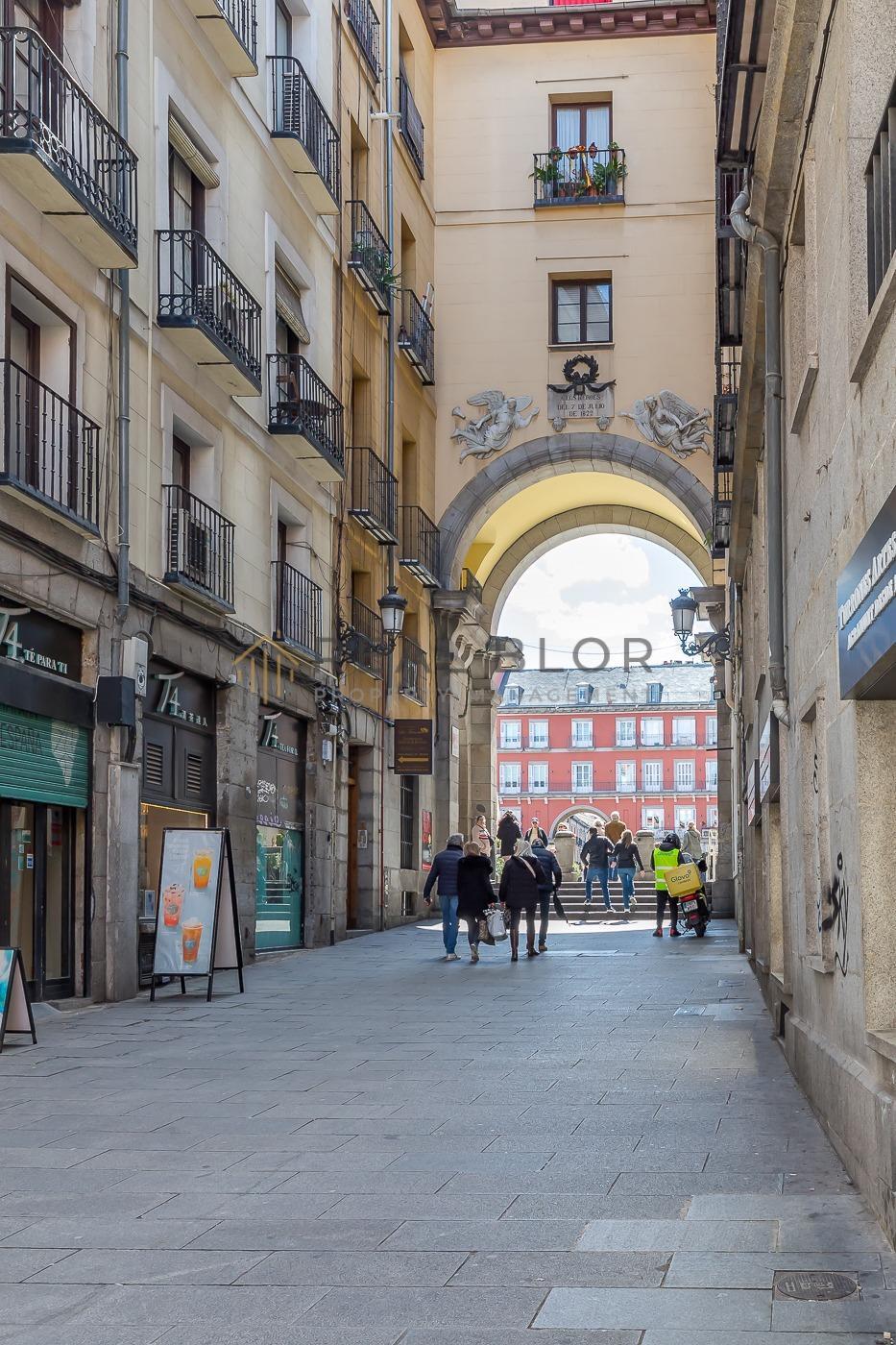 Pisos-Venta-Madrid-1439474-Foto-57