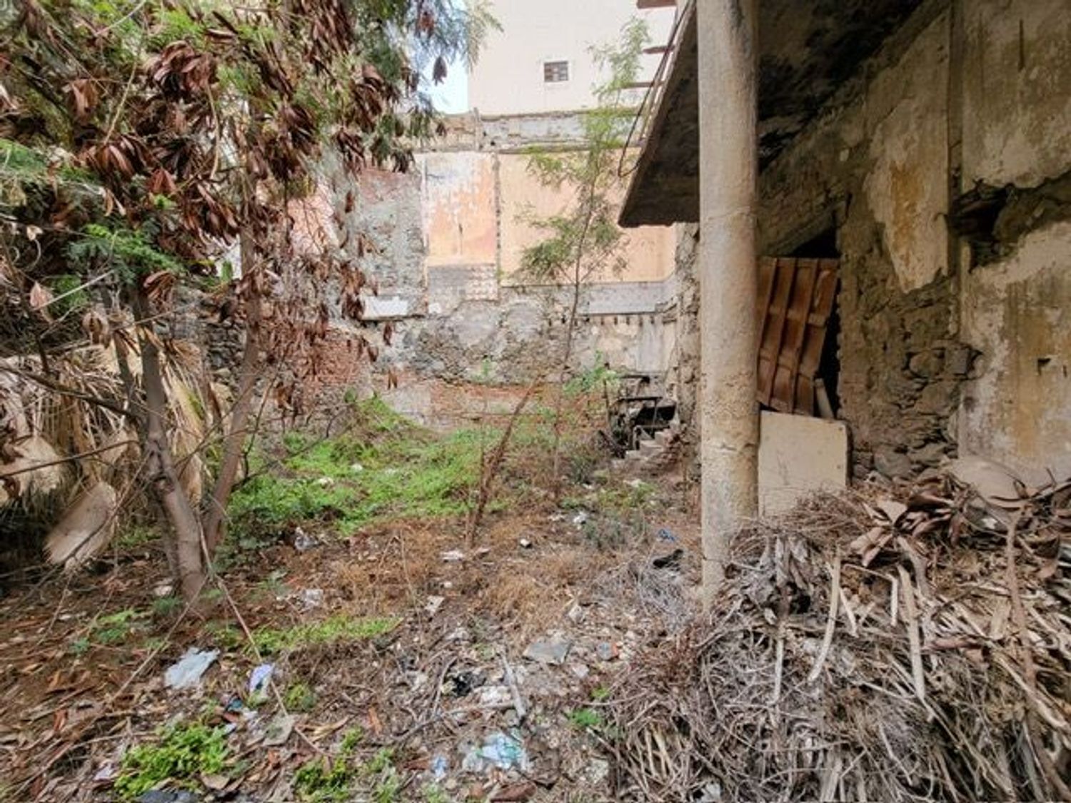 Casas o chalets-Venta-Las Palmas de Gran Canaria-1868125-Foto-7