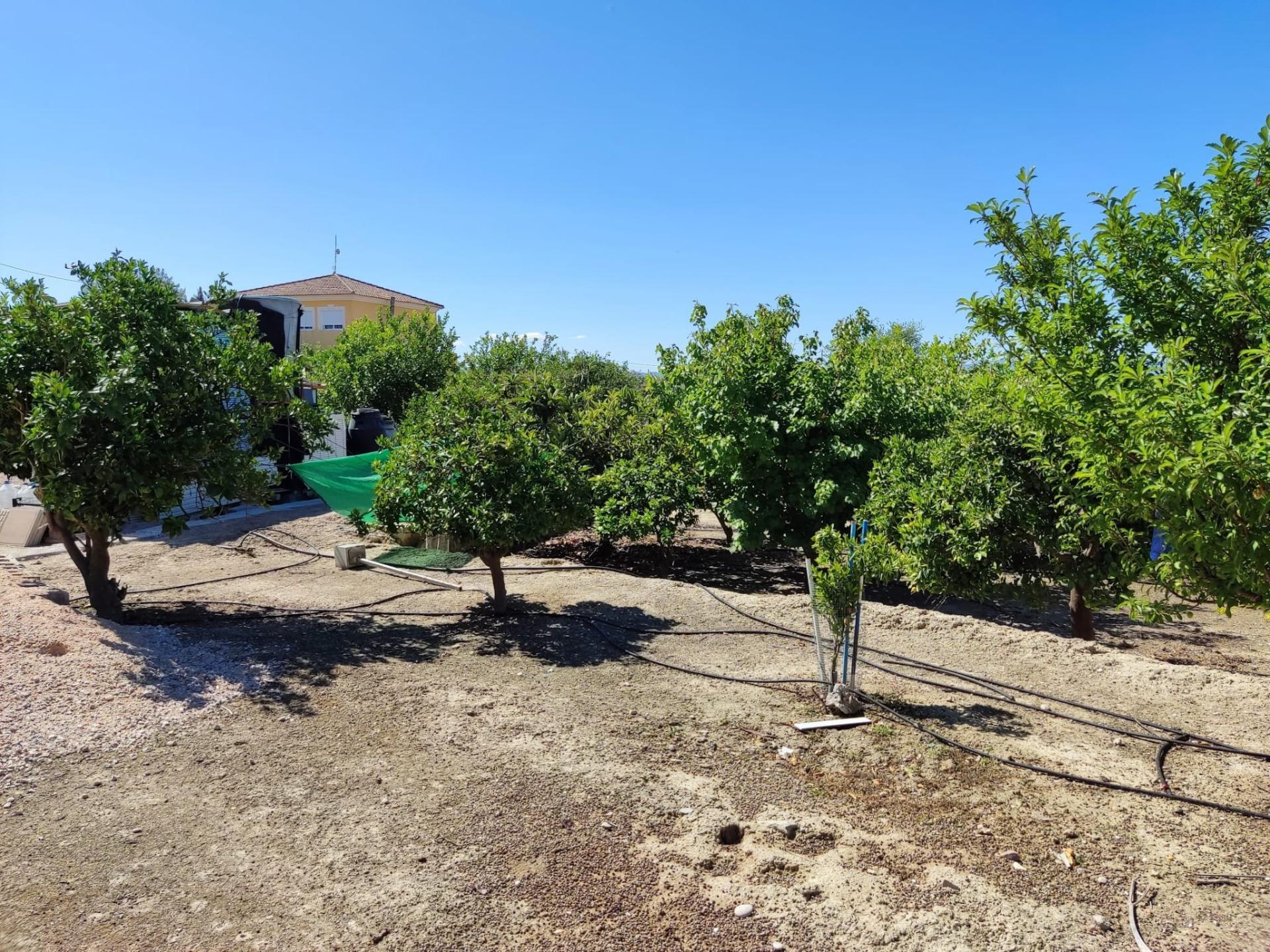 Suelo en venta, Molina de Segura, Murcia