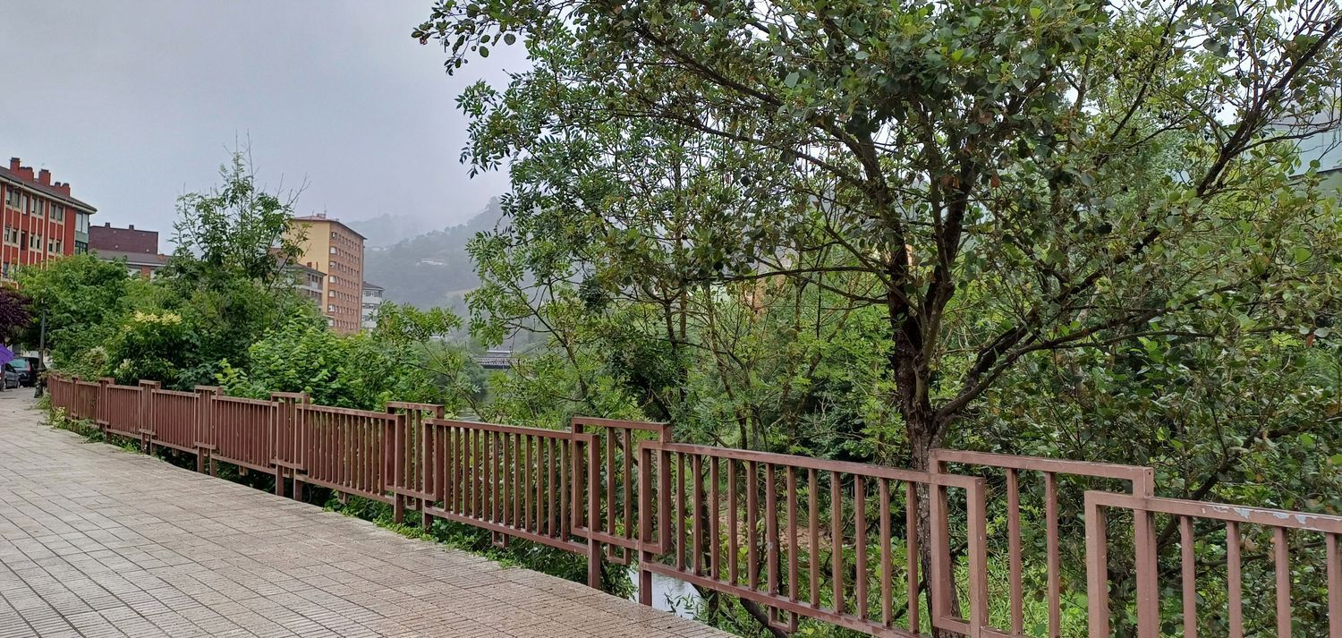 Casas o chalets-Venta-San MartÃ­n del Rey Aurelio-1768417-Foto-75