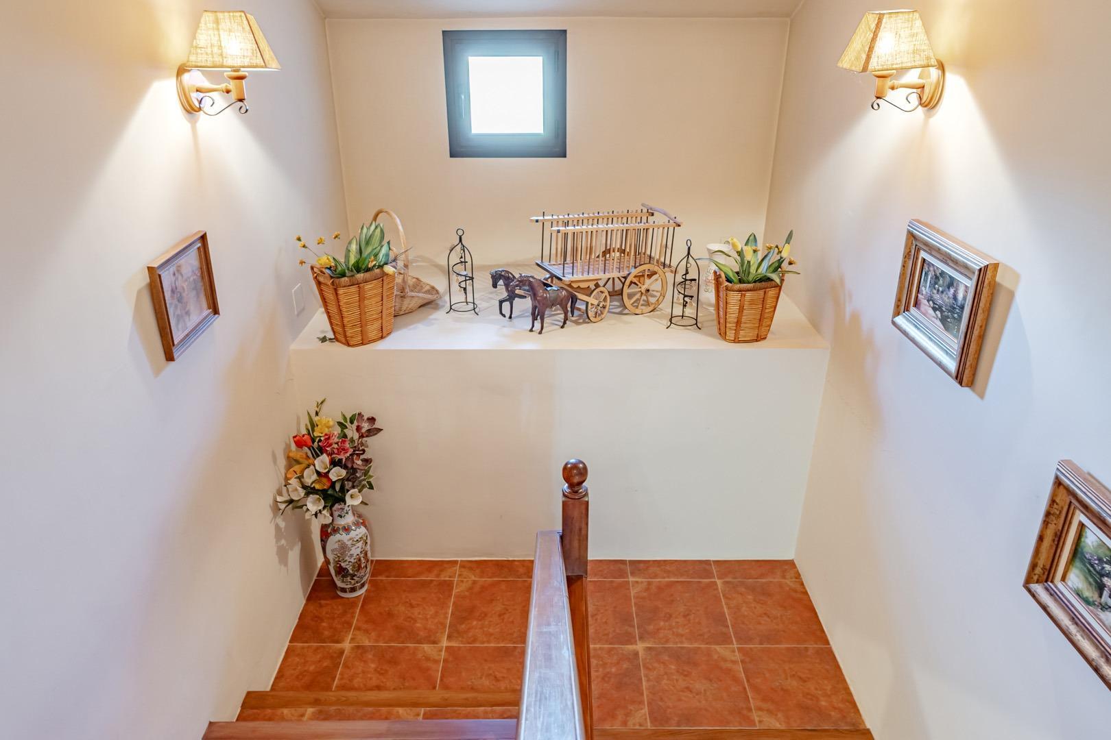 Casas o chalets-Venta-ChinchÃ³n-1868203-Foto-39