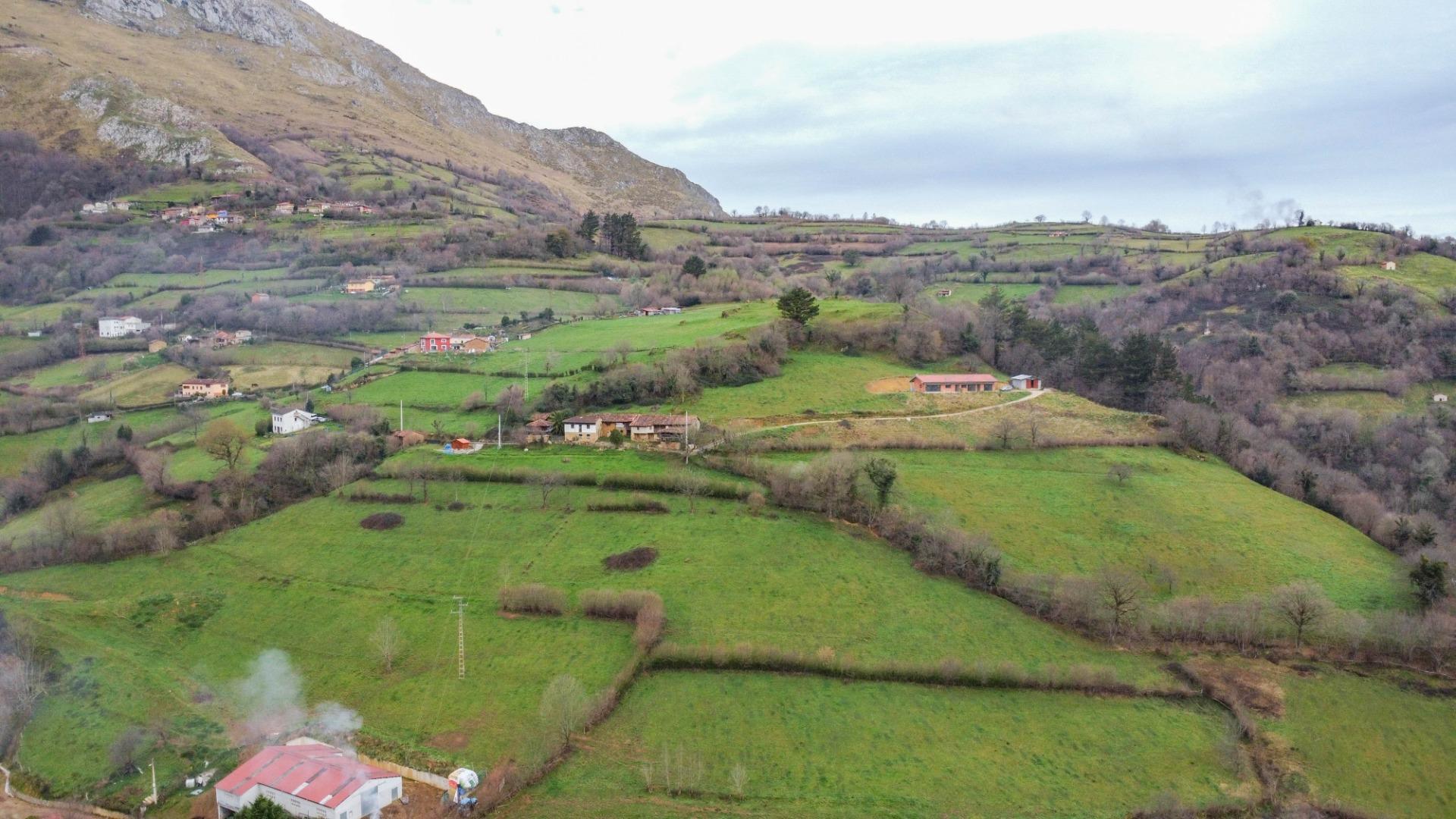 Casas o chalets-Venta-MorcÃ­n-1659224-Foto-26