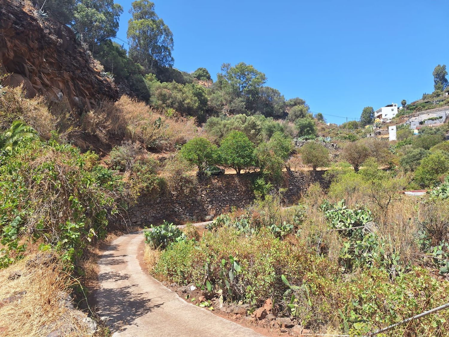 Casas o chalets-Venta-Santa BrÃ­gida-1875893-Foto-5