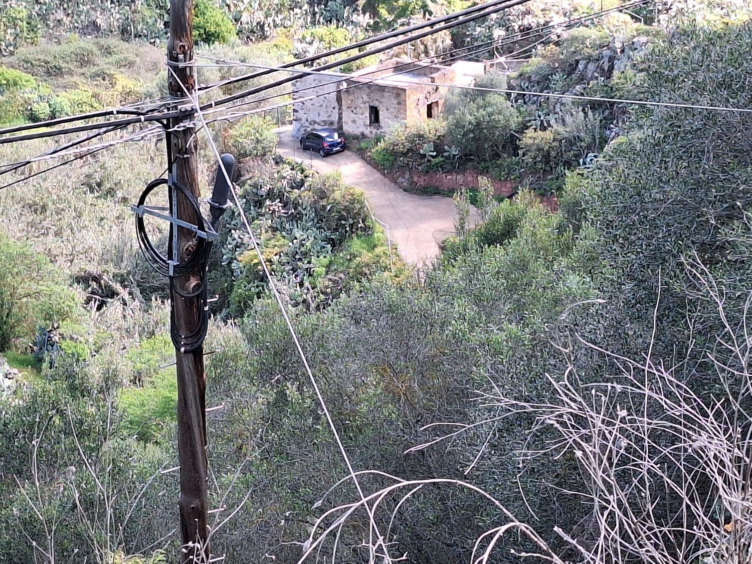 Casas o chalets-Venta-Santa BrÃ­gida-1875893-Foto-4