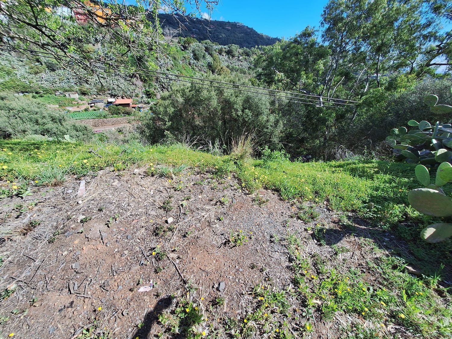 Casas o chalets-Venta-Santa BrÃ­gida-1875893-Foto-7