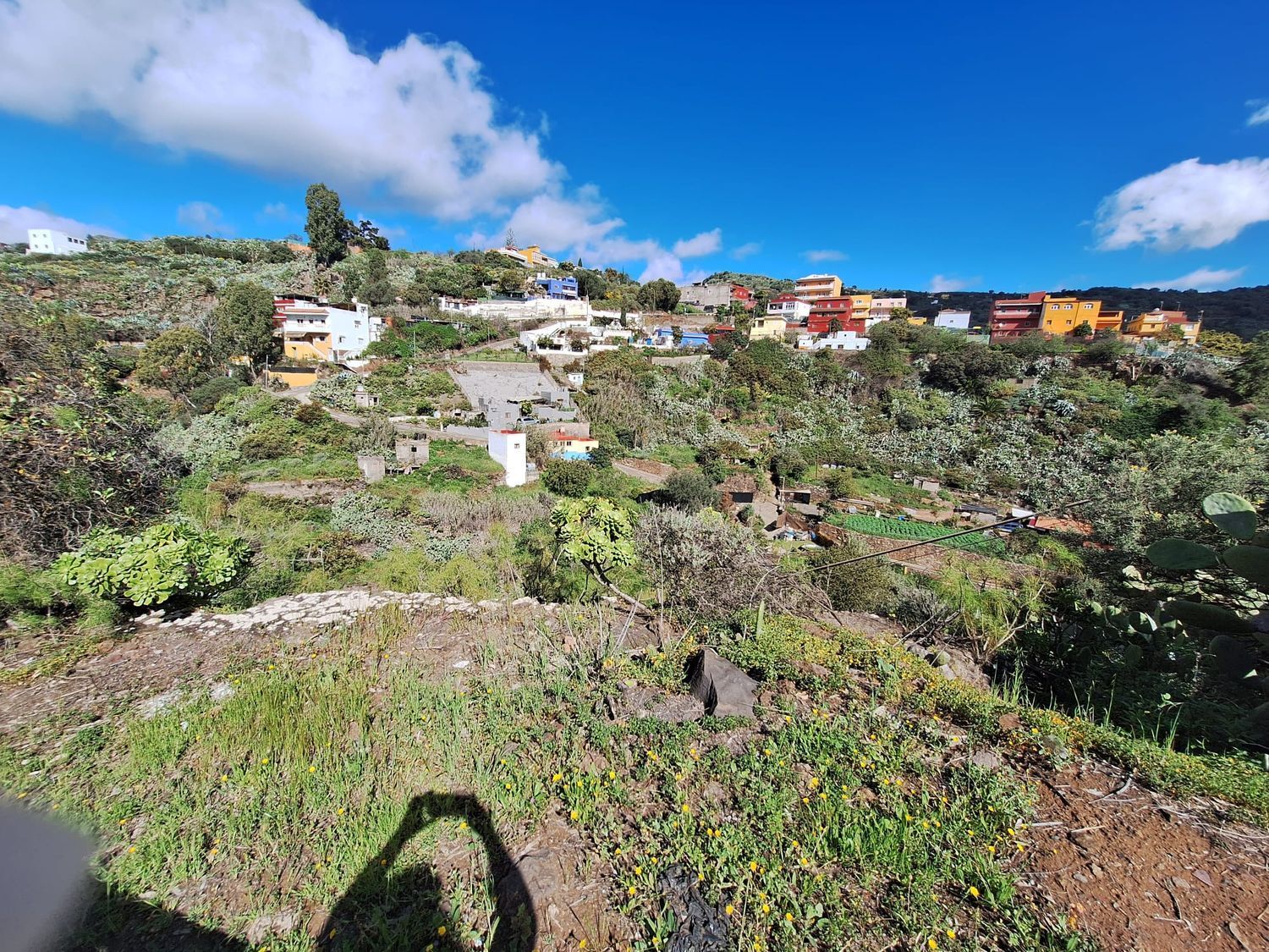 Casas o chalets-Venta-Santa BrÃ­gida-1875893-Foto-6