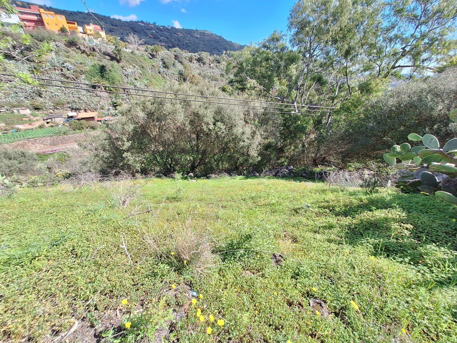 Casas o chalets-Venta-Santa BrÃ­gida-1875893-Foto-9