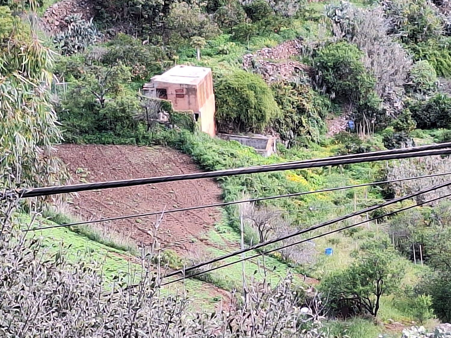 Casas o chalets-Venta-Santa BrÃ­gida-1875893-Foto-8