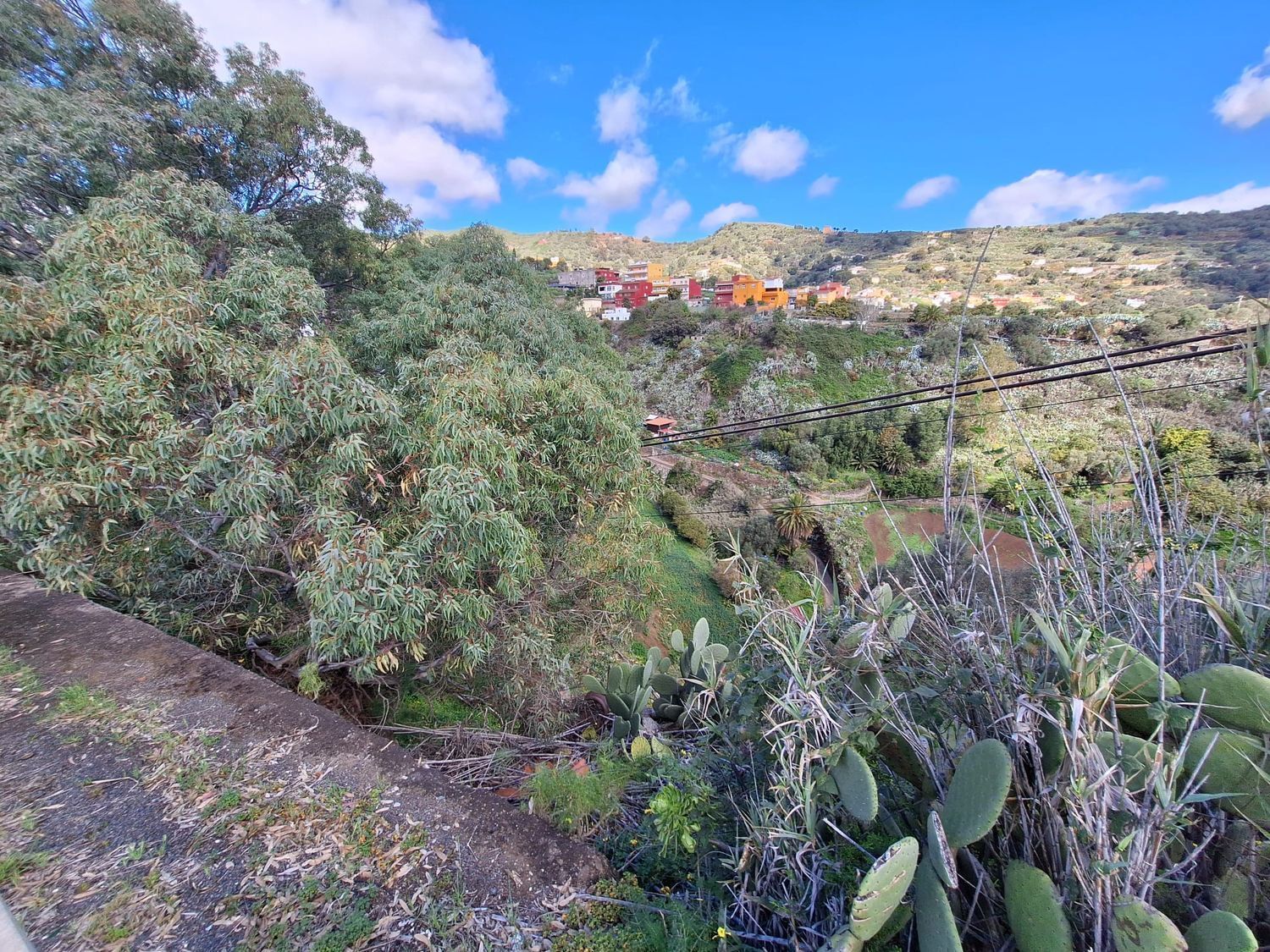 Casas o chalets-Venta-Santa BrÃ­gida-1875893-Foto-10