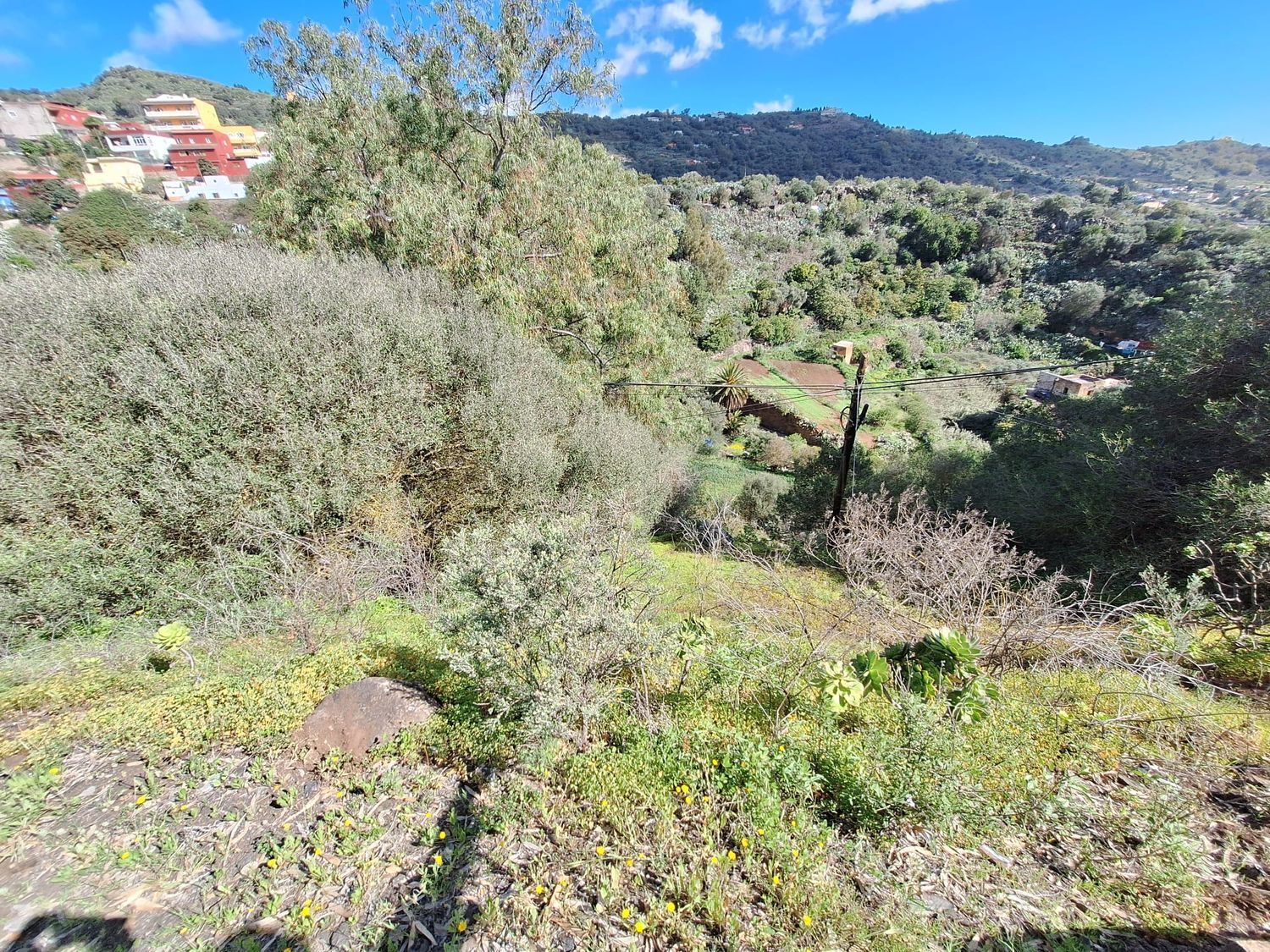 Casas o chalets-Venta-Santa BrÃ­gida-1875893-Foto-11