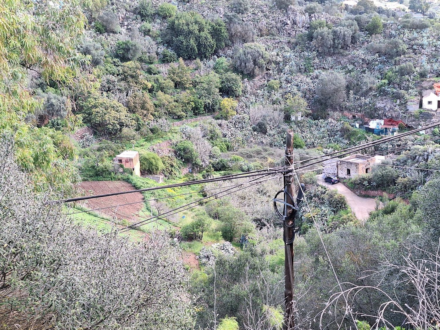 Casas o chalets-Venta-Santa BrÃ­gida-1875893-Foto-15