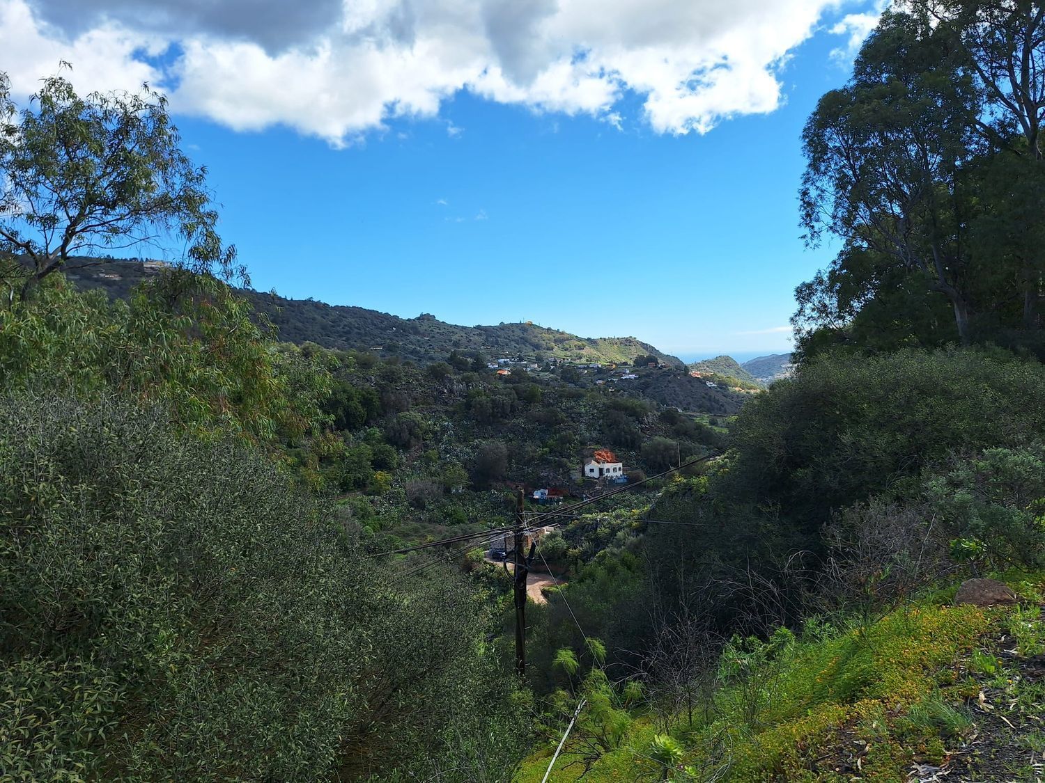 Casas o chalets-Venta-Santa BrÃ­gida-1875893-Foto-19