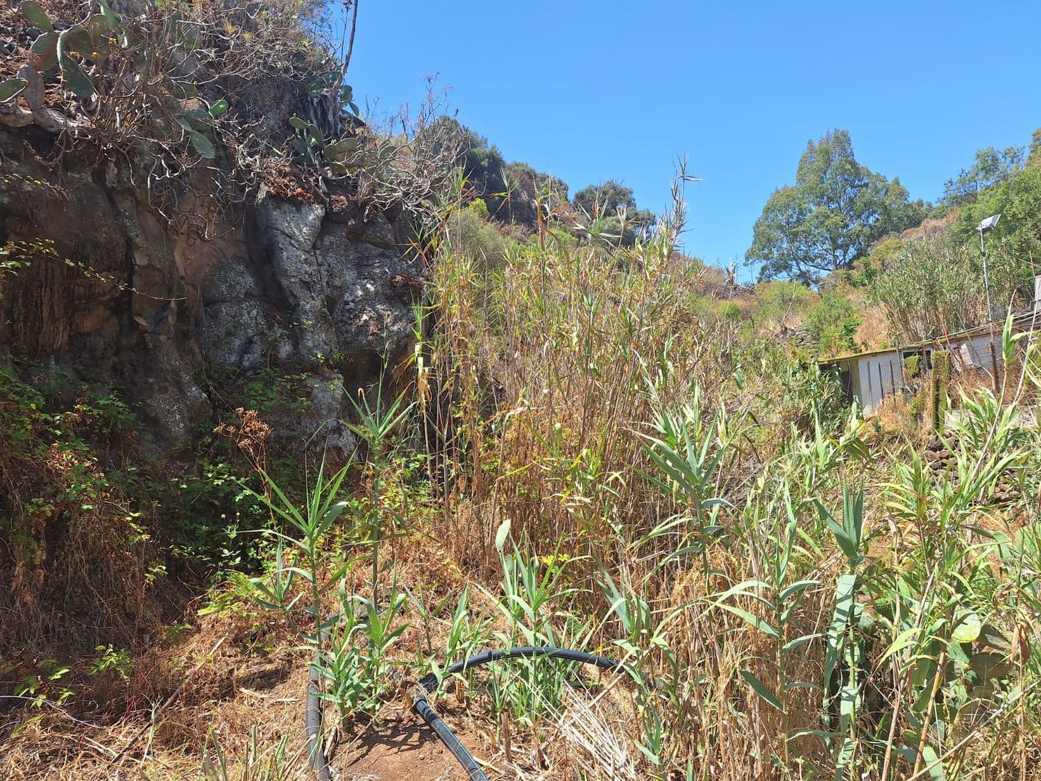 Casas o chalets-Venta-Santa BrÃ­gida-1875893-Foto-20