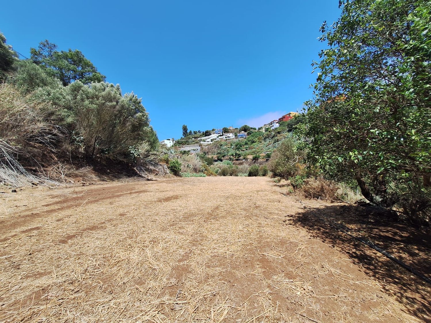 Casas o chalets-Venta-Santa BrÃ­gida-1875893-Foto-21