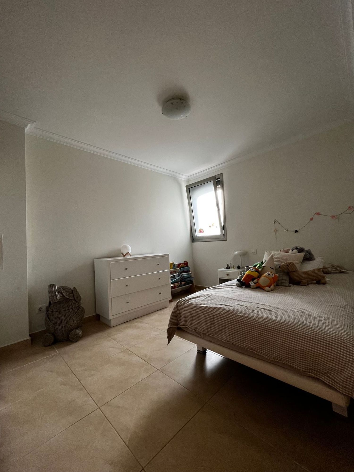 Pisos-Alquiler-Las Palmas de Gran Canaria-1867153-Foto-33