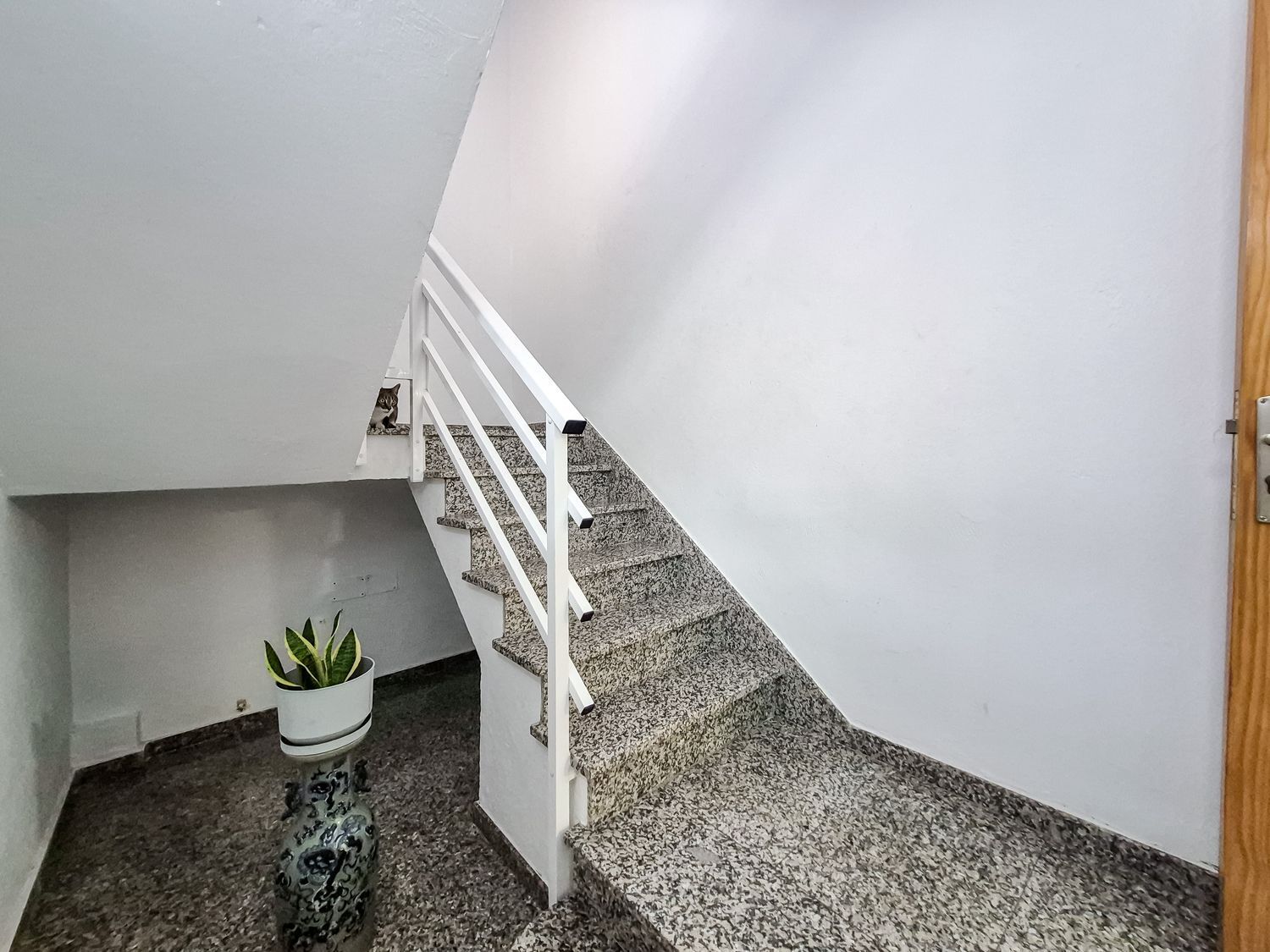 Casas o chalets-Venta-Las Palmas de Gran Canaria-1904780-Foto-18