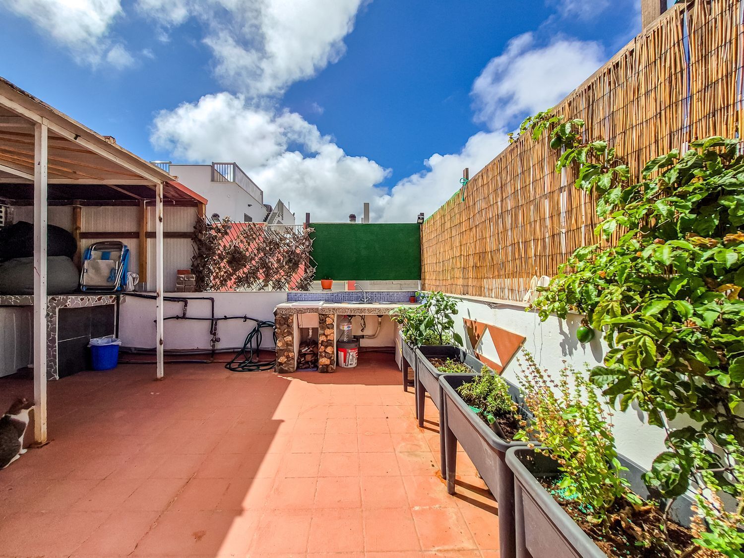 Casas o chalets-Venta-Las Palmas de Gran Canaria-1904780-Foto-55