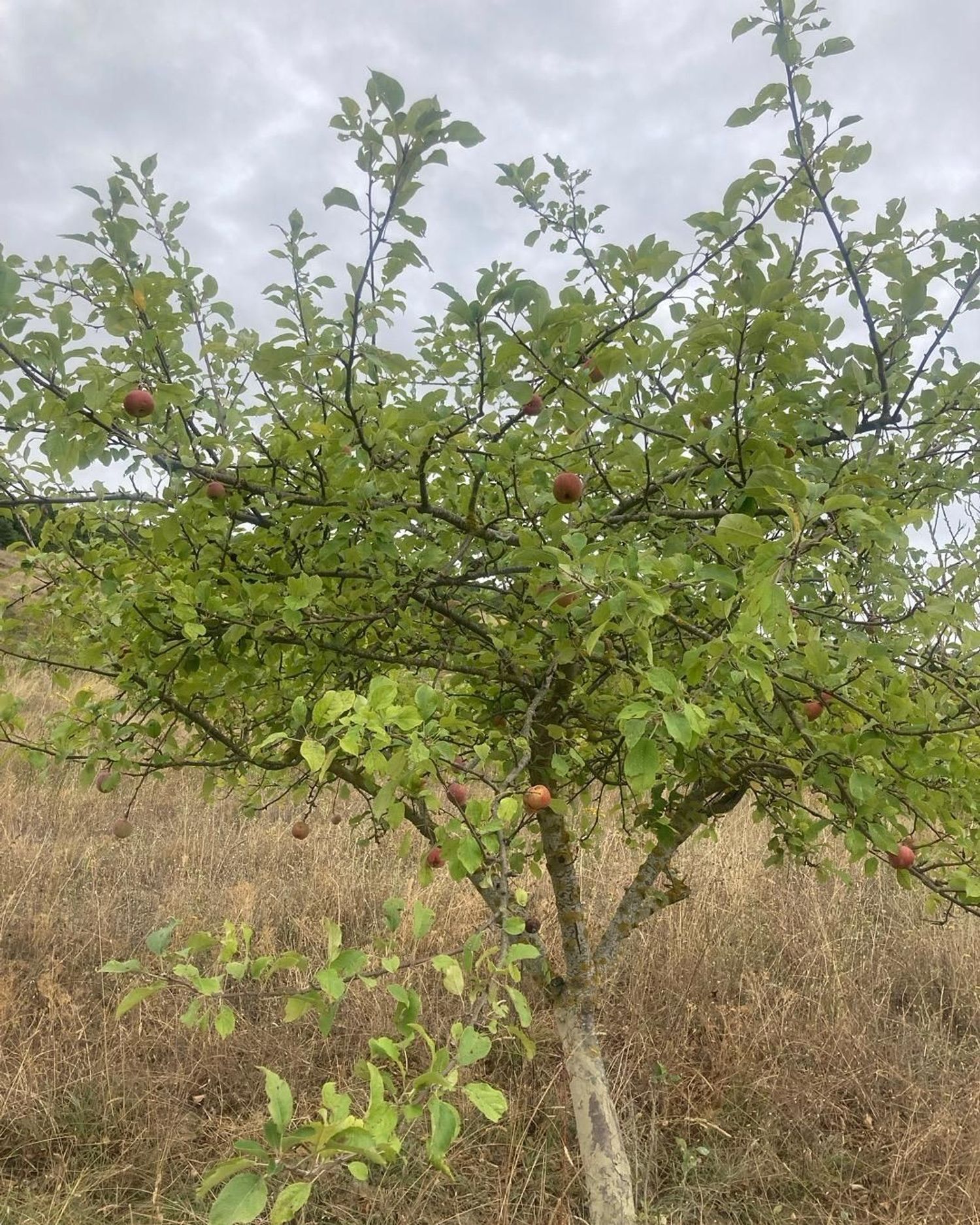 Suelo en venta, Monreal, Navarra, Navarra