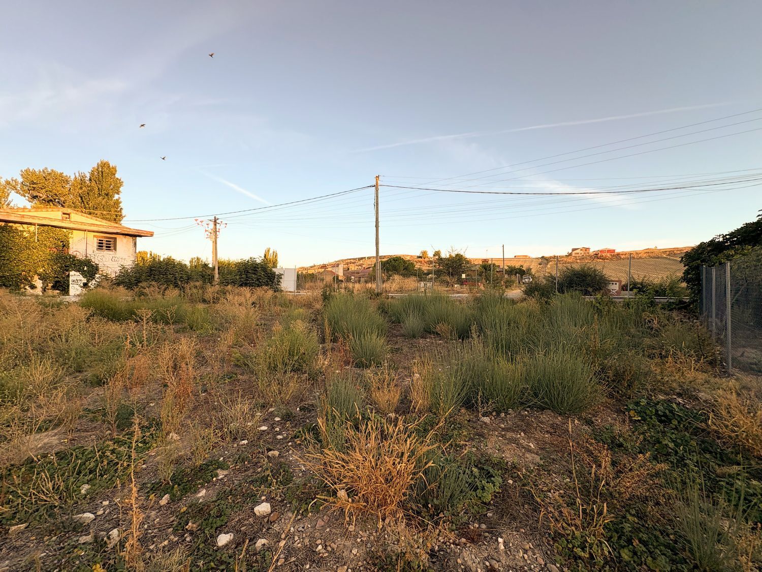 Fincas y solares-Venta-FuensaldaÃ±a-1875917-Foto-6