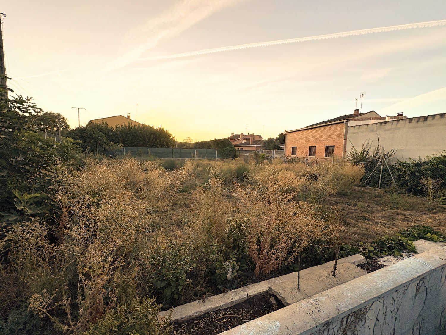 Fincas y solares-Venta-FuensaldaÃ±a-1875917-Foto-4