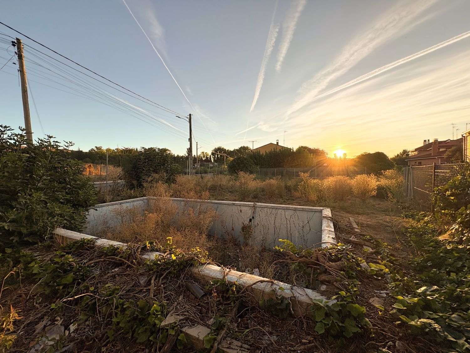 Fincas y solares-Venta-FuensaldaÃ±a-1875917-Foto-10