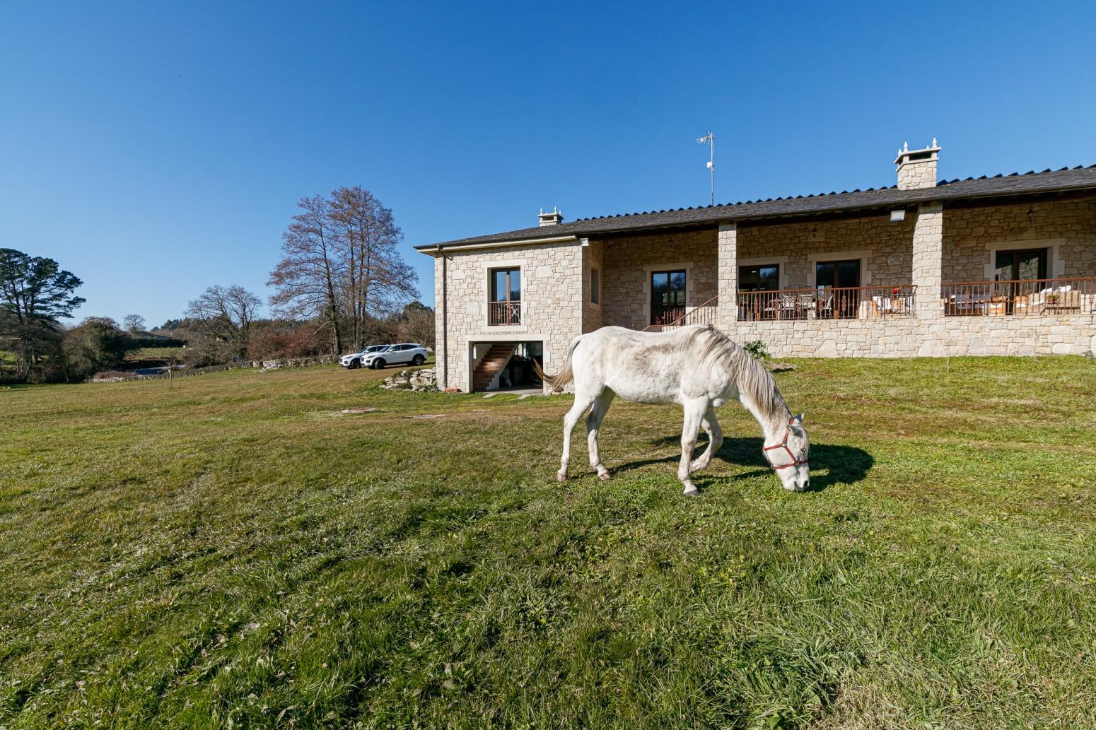 Casas o chalets-Venta-Friol-1022789-Foto-56