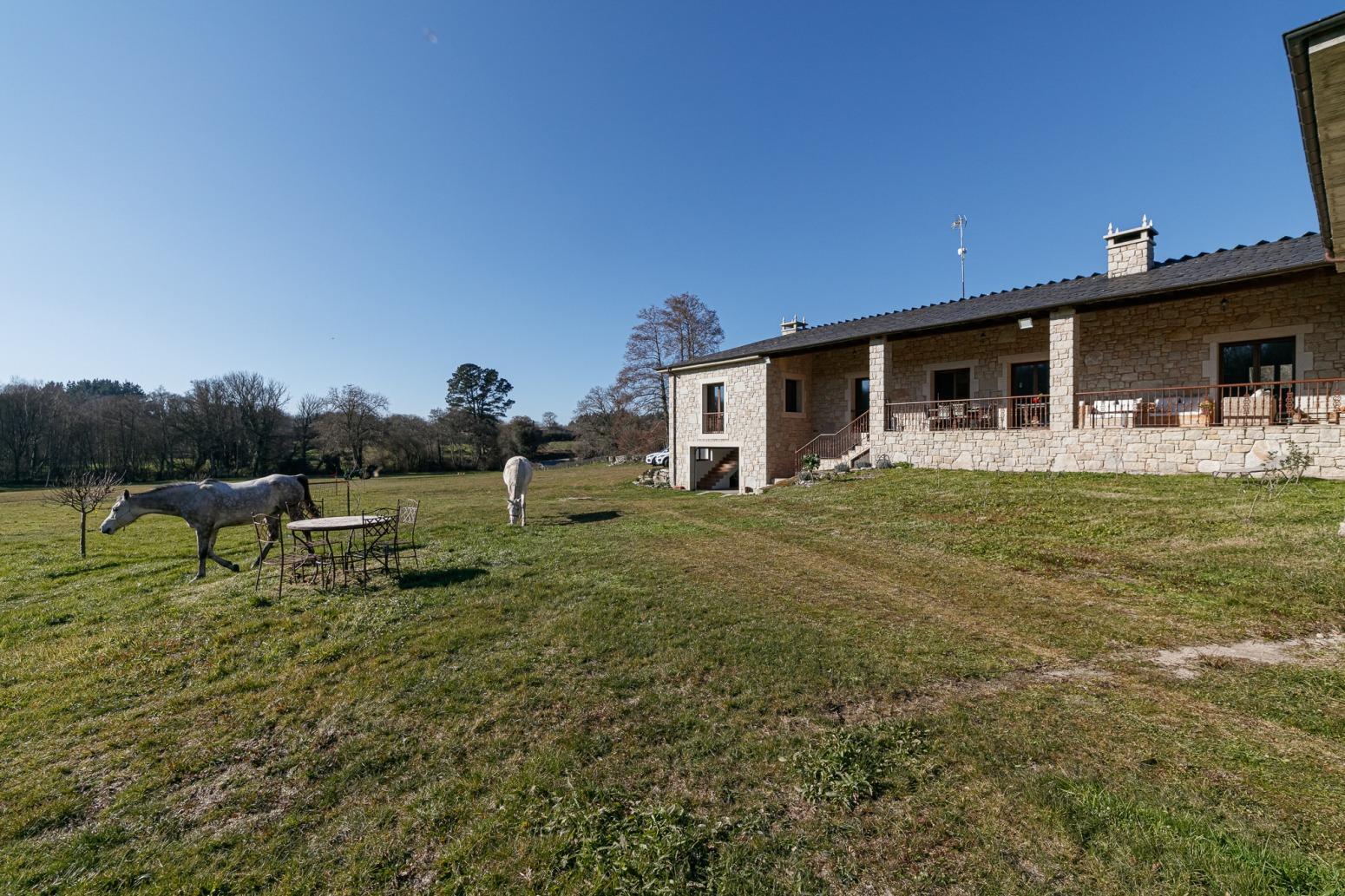 Casas o chalets-Venta-Friol-1022789-Foto-59