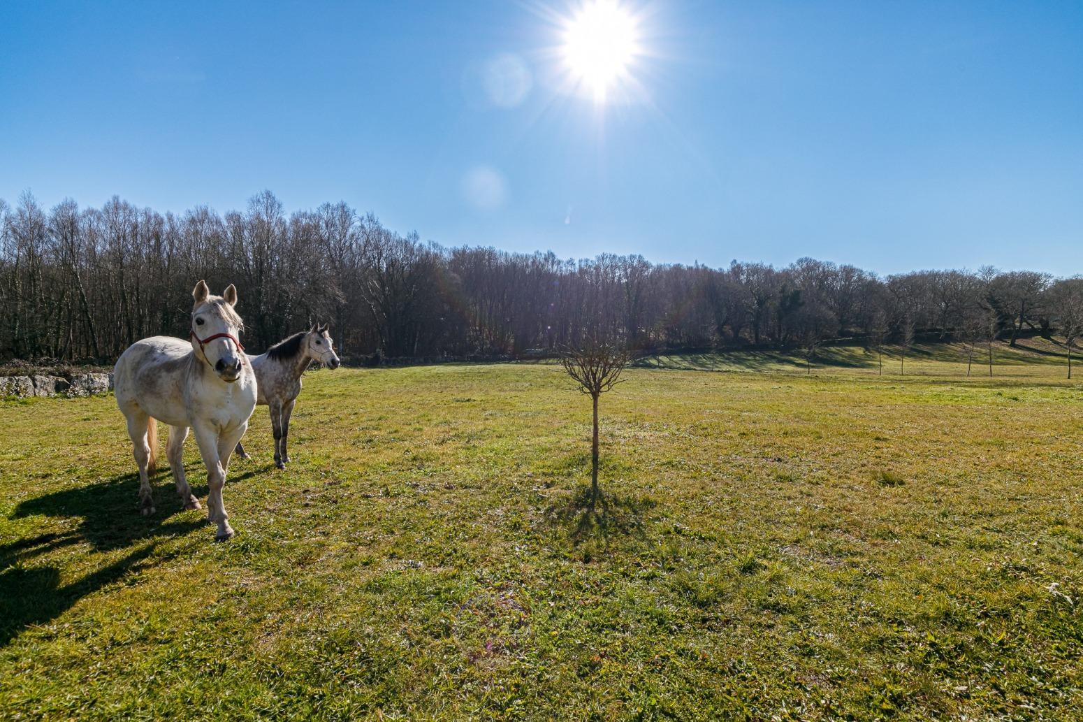 Casas o chalets-Venta-Friol-1022789-Foto-60