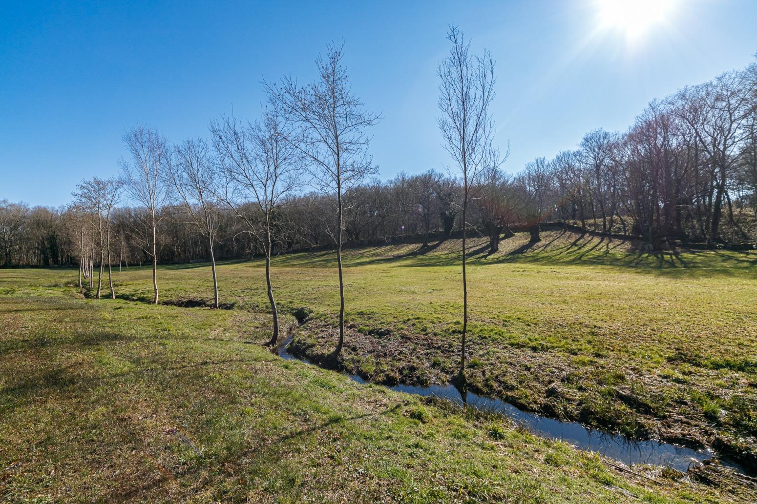 Casas o chalets-Venta-Friol-1022789-Foto-61