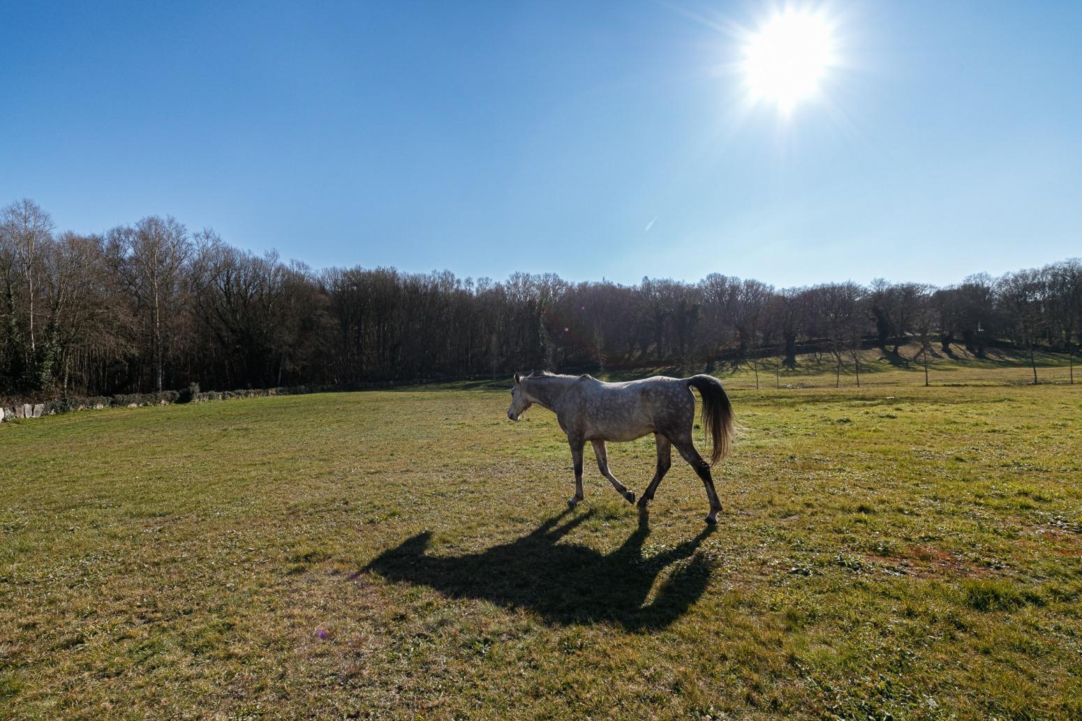 Casas o chalets-Venta-Friol-1022789-Foto-65