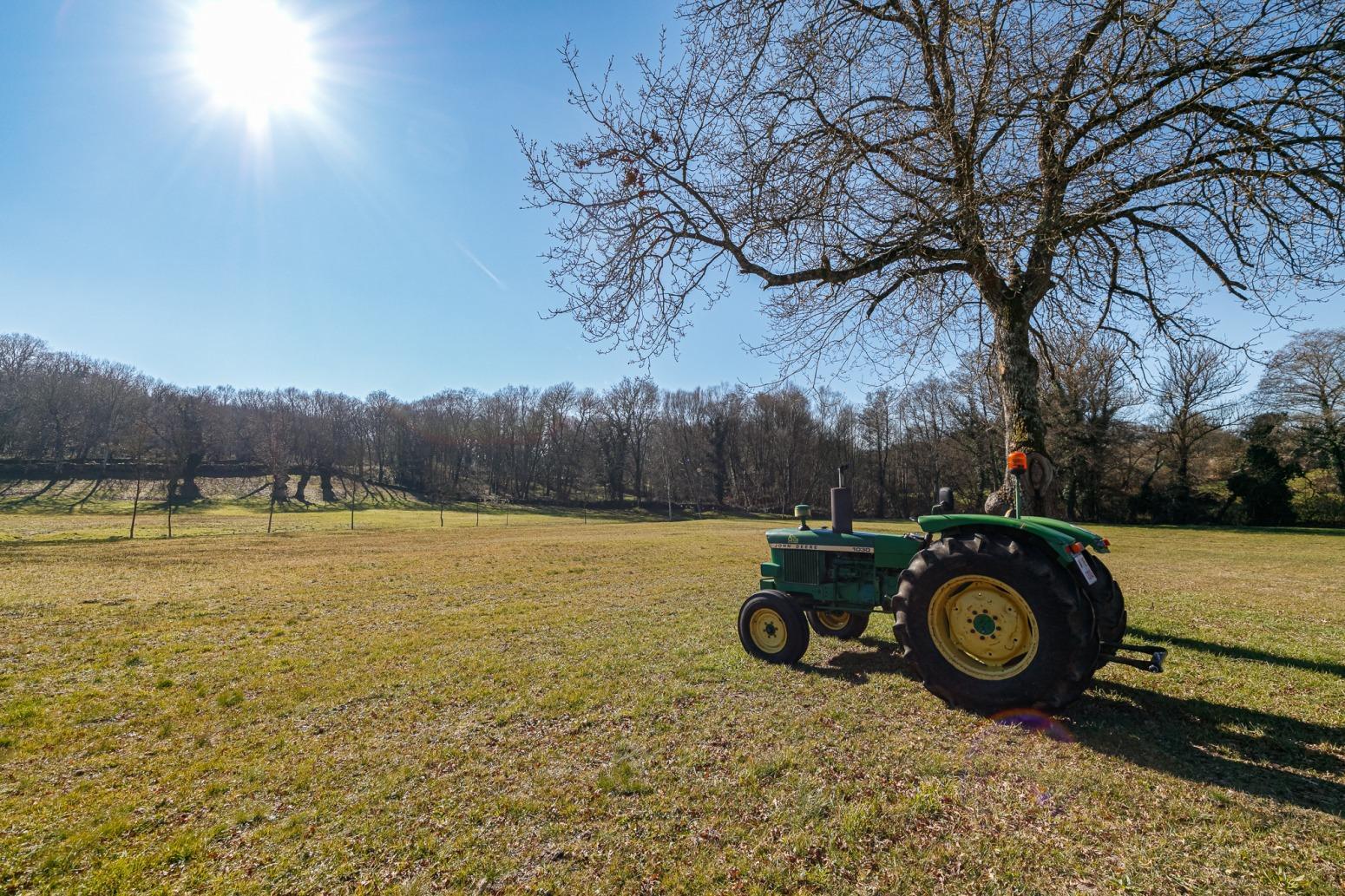 Casas o chalets-Venta-Friol-1022789-Foto-66