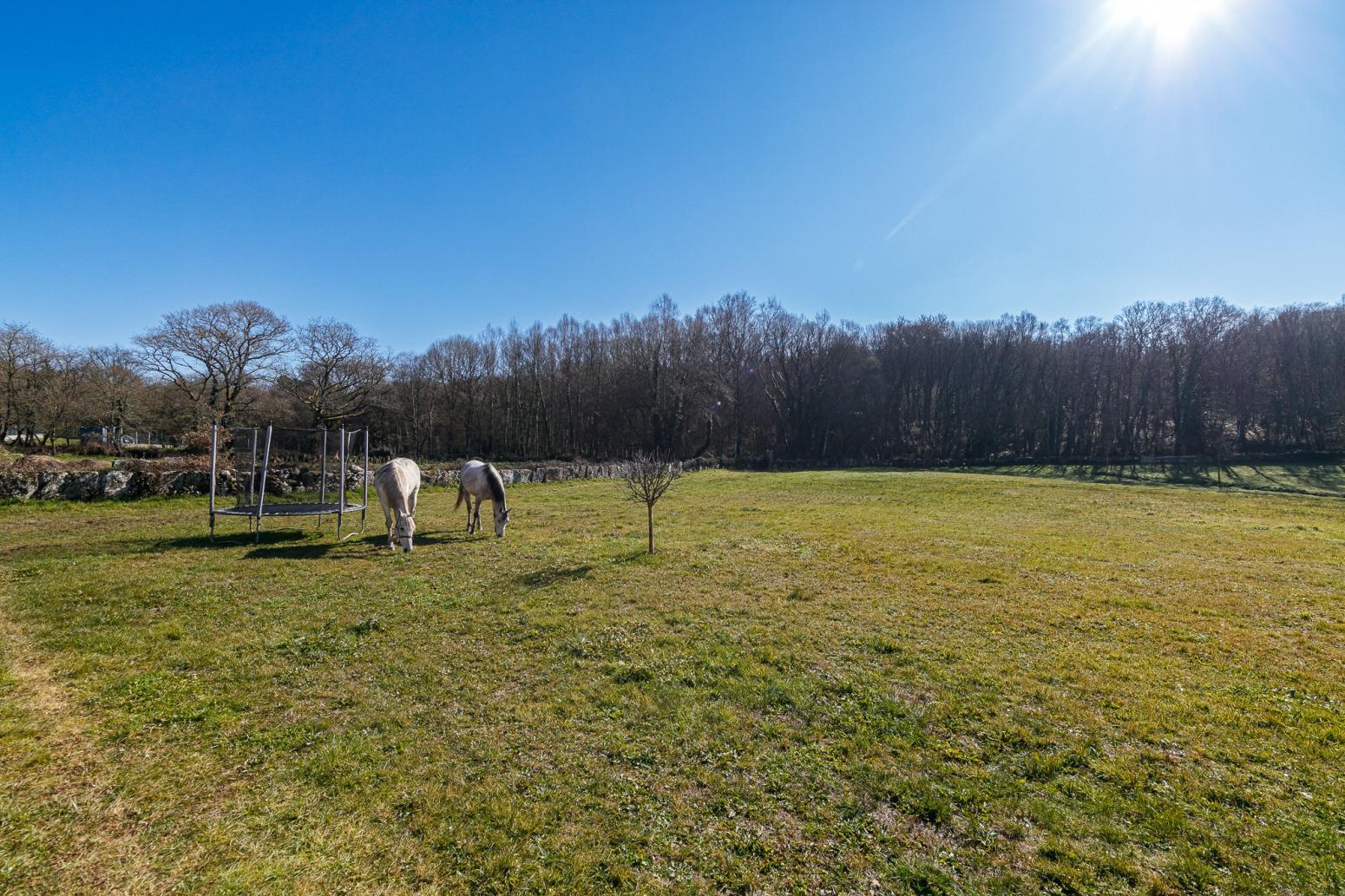 Casas o chalets-Venta-Friol-1022789-Foto-68