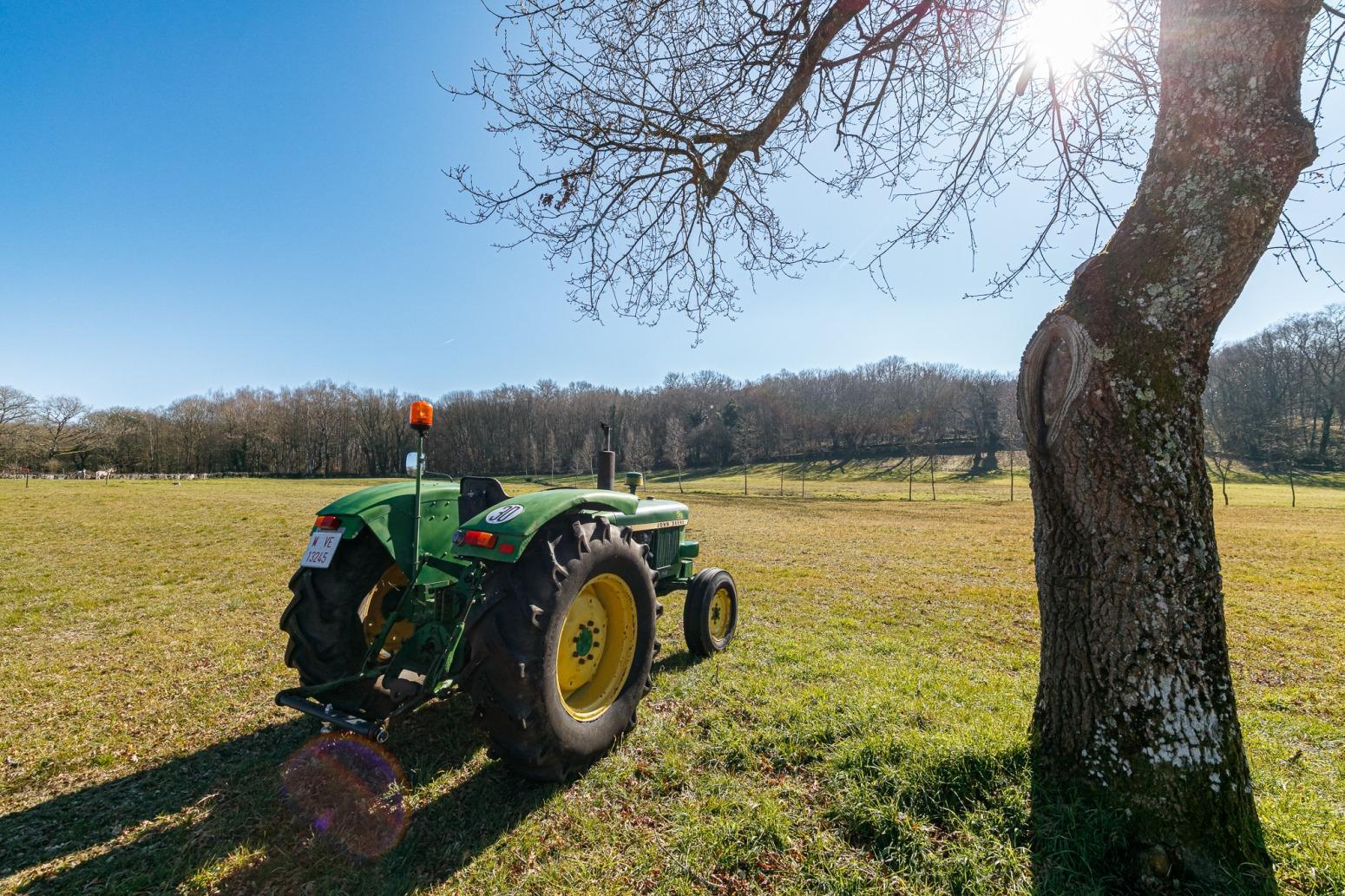 Casas o chalets-Venta-Friol-1022789-Foto-67