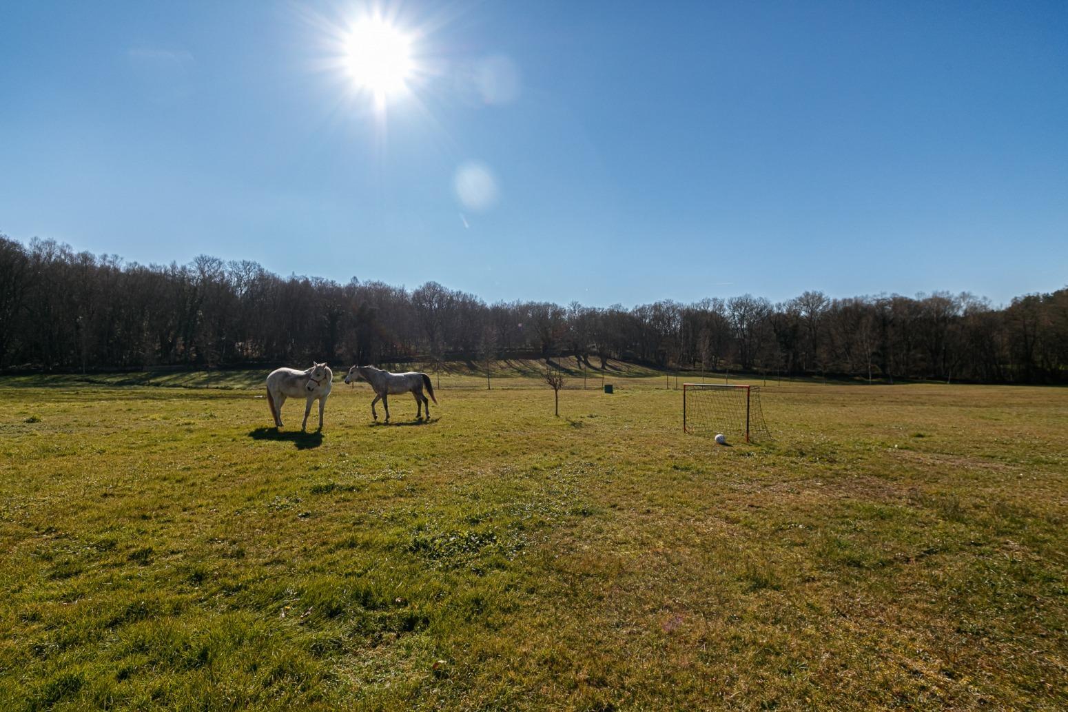 Casas o chalets-Venta-Friol-1022789-Foto-69