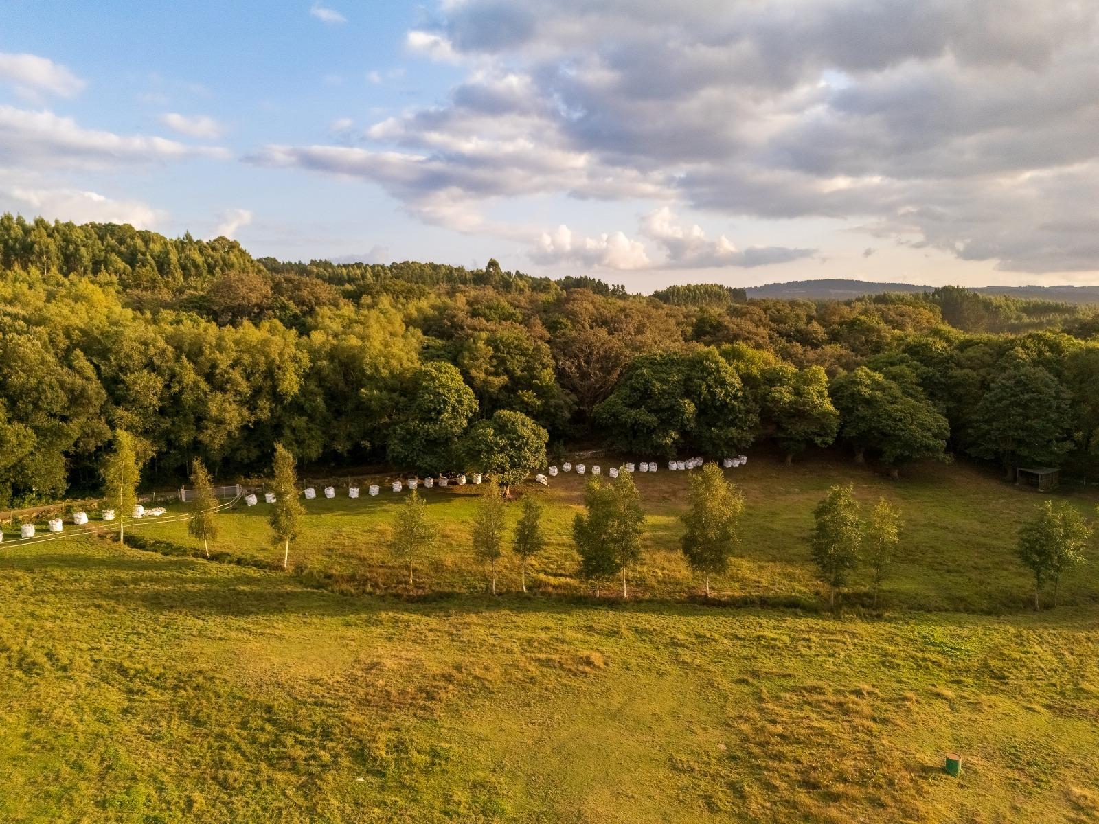 Casas o chalets-Venta-Friol-1022789-Foto-78