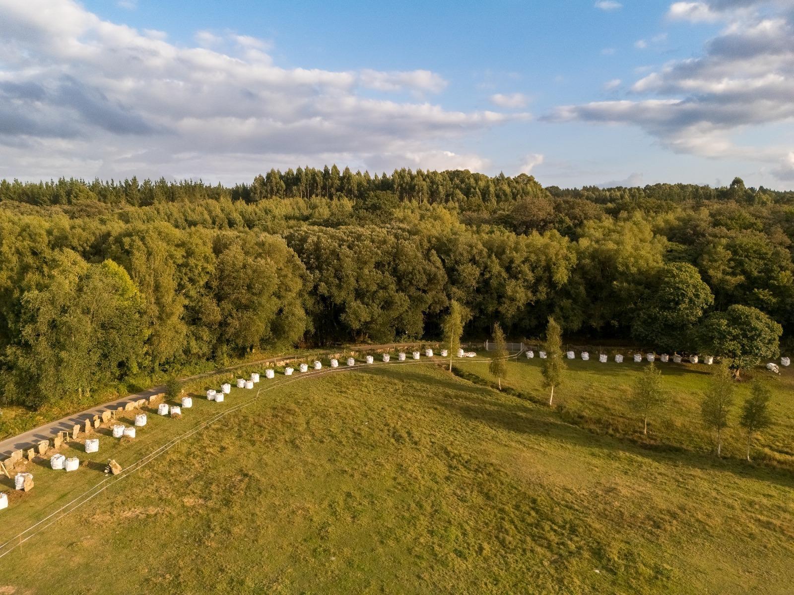 Casas o chalets-Venta-Friol-1022789-Foto-81