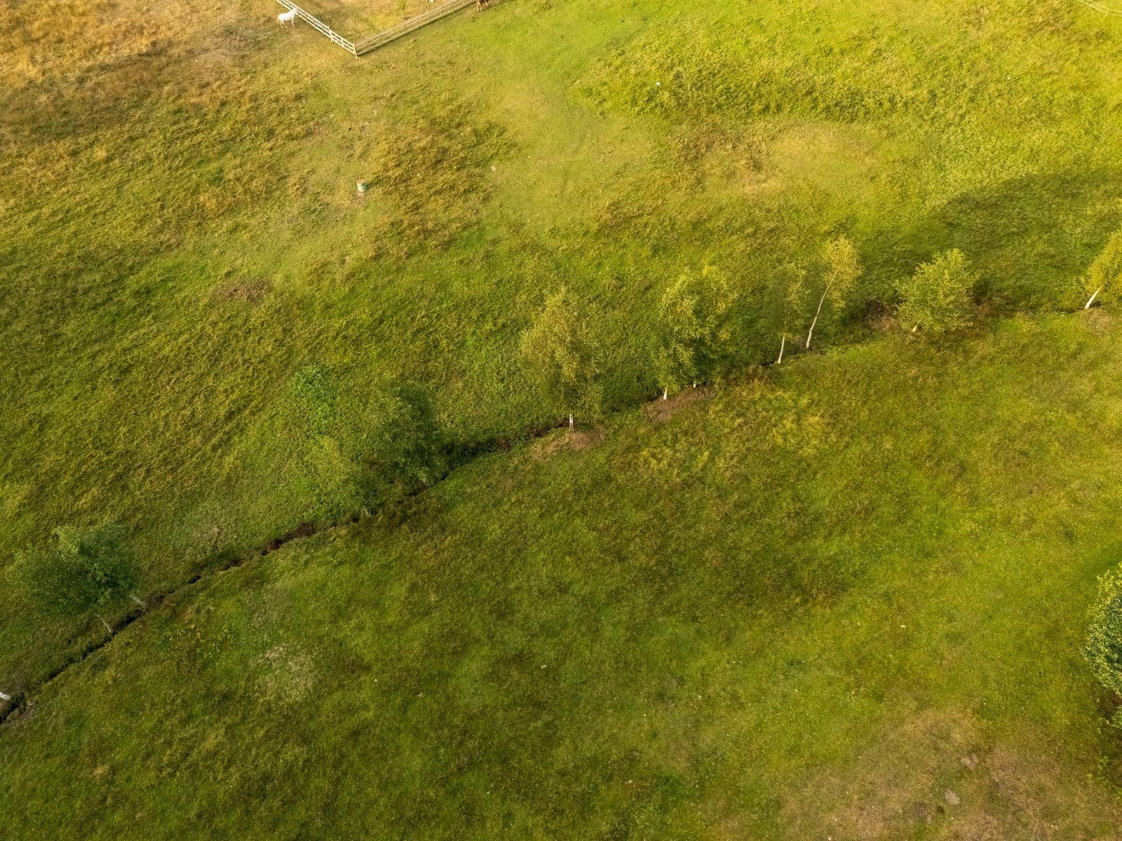 Casas o chalets-Venta-Friol-1022789-Foto-80