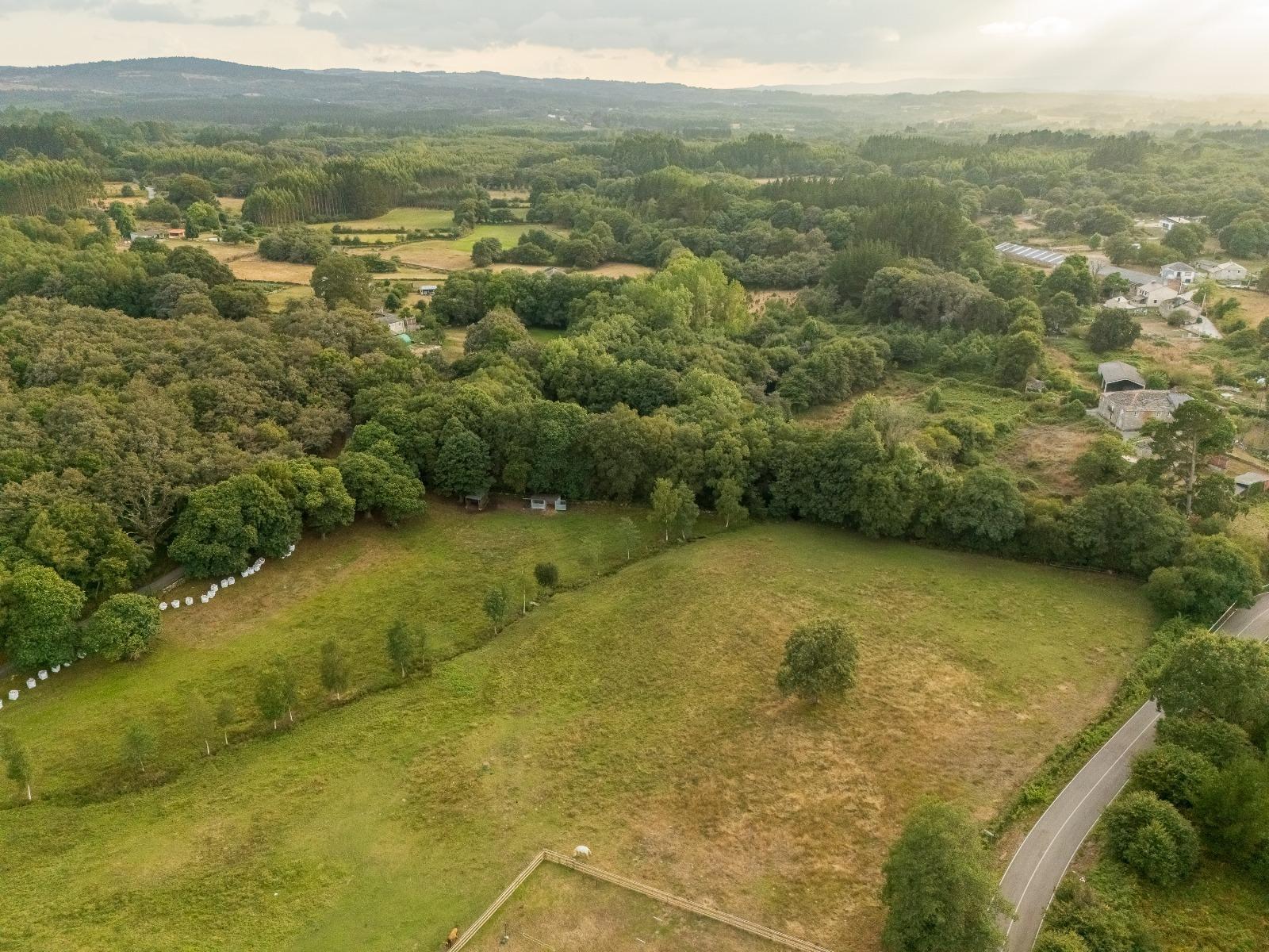 Casas o chalets-Venta-Friol-1022789-Foto-82