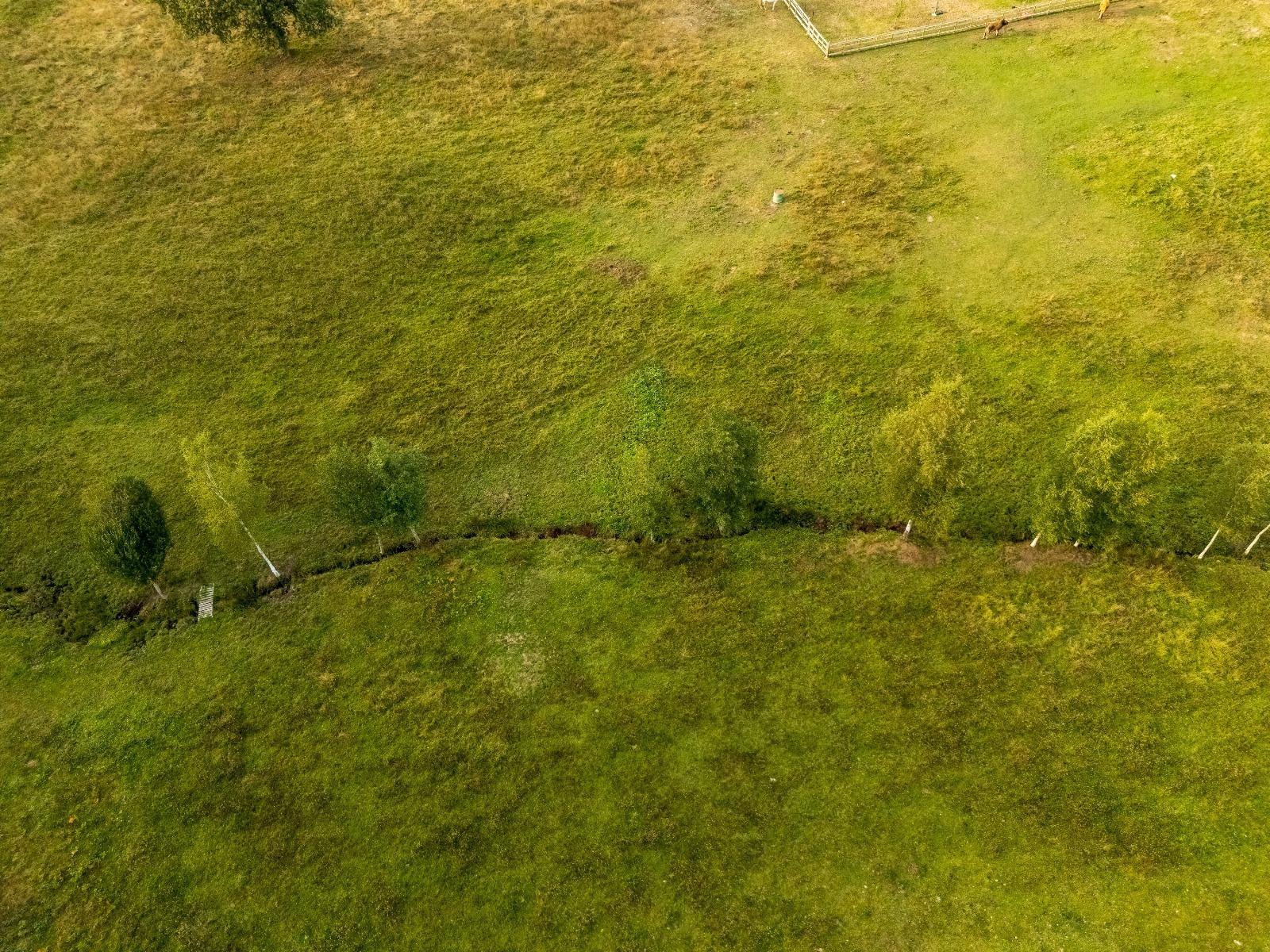 Casas o chalets-Venta-Friol-1022789-Foto-85