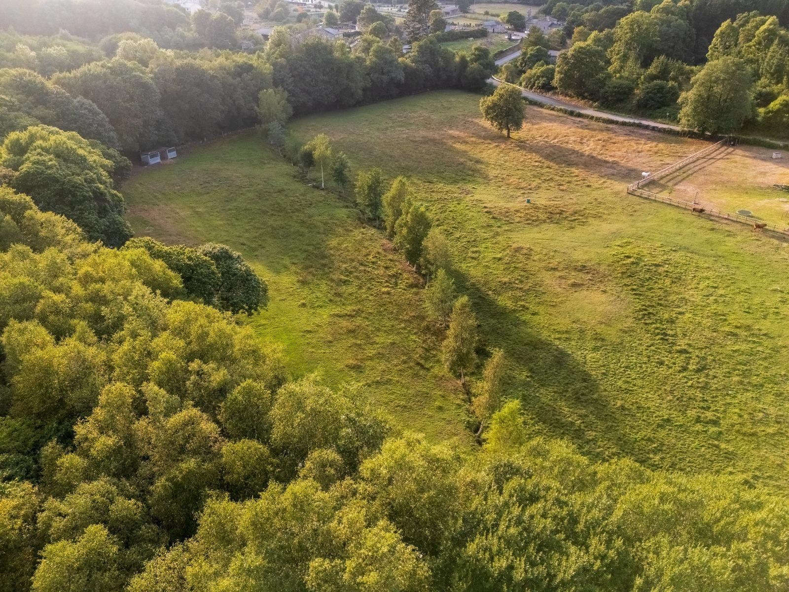 Casas o chalets-Venta-Friol-1022789-Foto-83