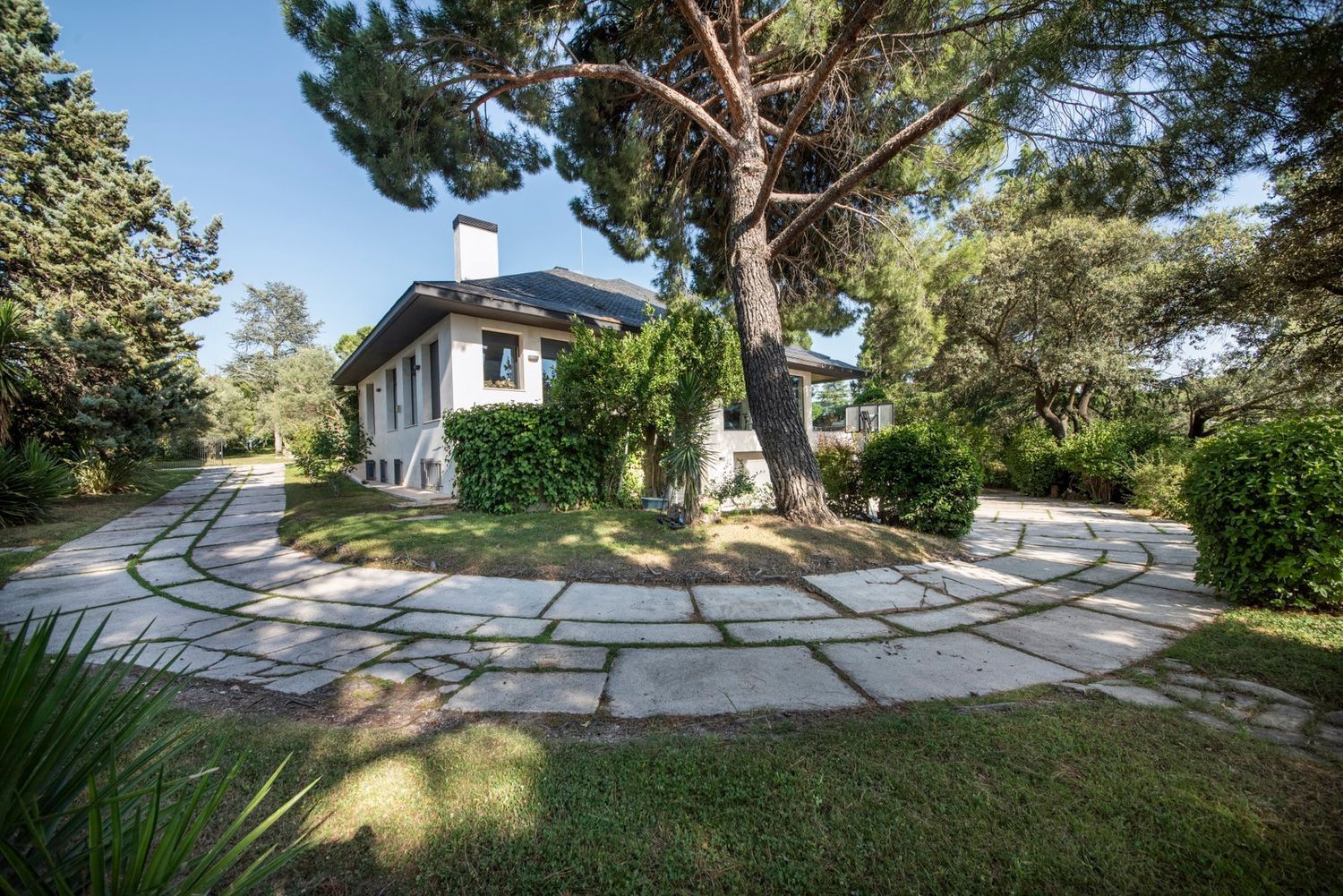 Casas o chalets-Venta-Pozuelo de AlarcÃ³n-1889056-Foto-50
