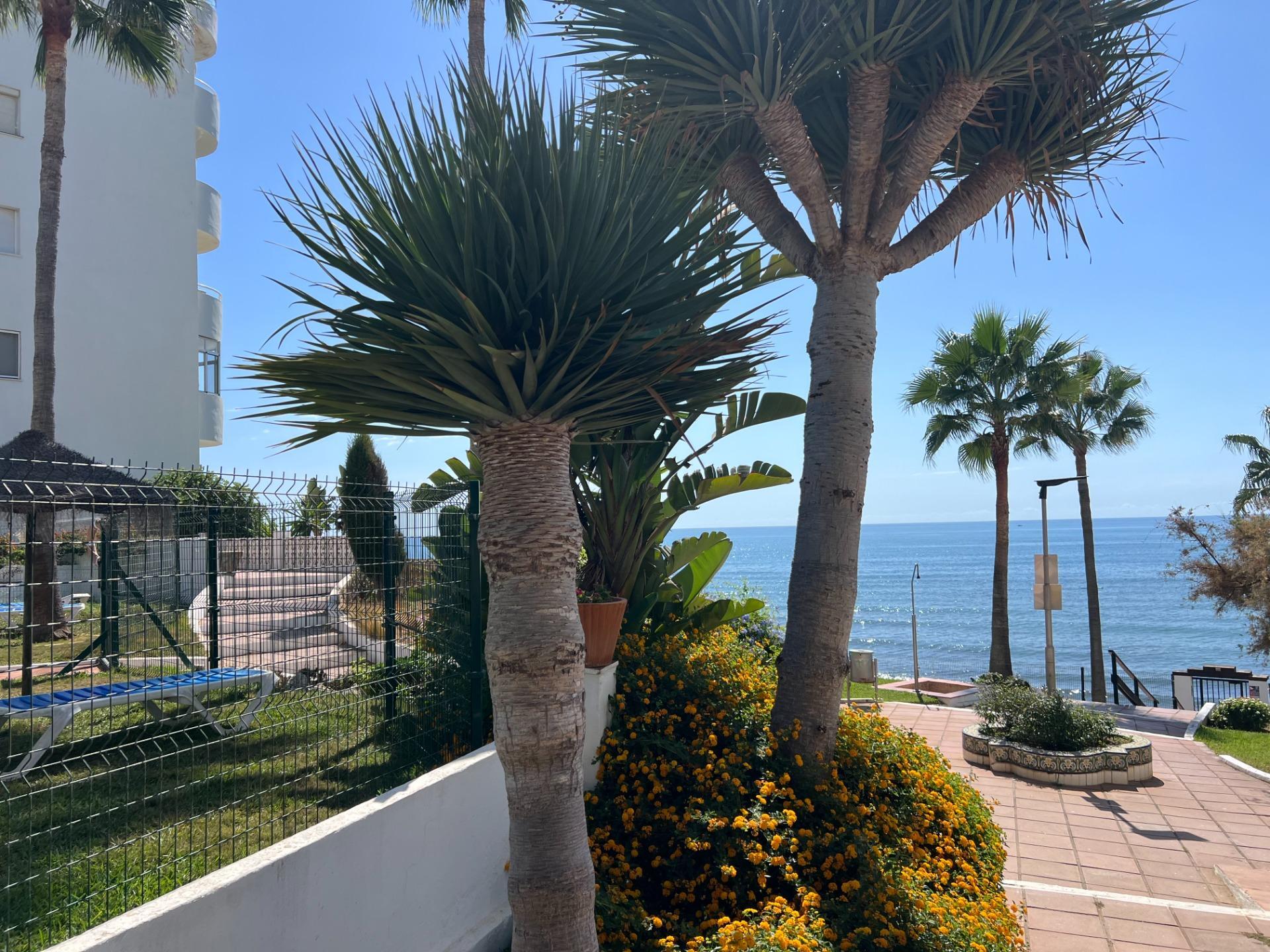 Pisos-Alquiler-Mijas-1868188-Foto-41