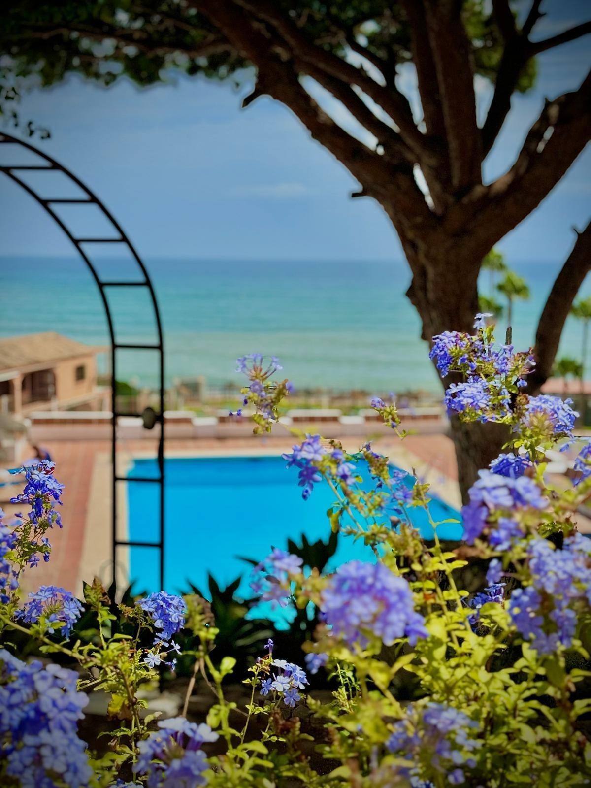 Pisos-Venta-Mijas-1866047-Foto-2